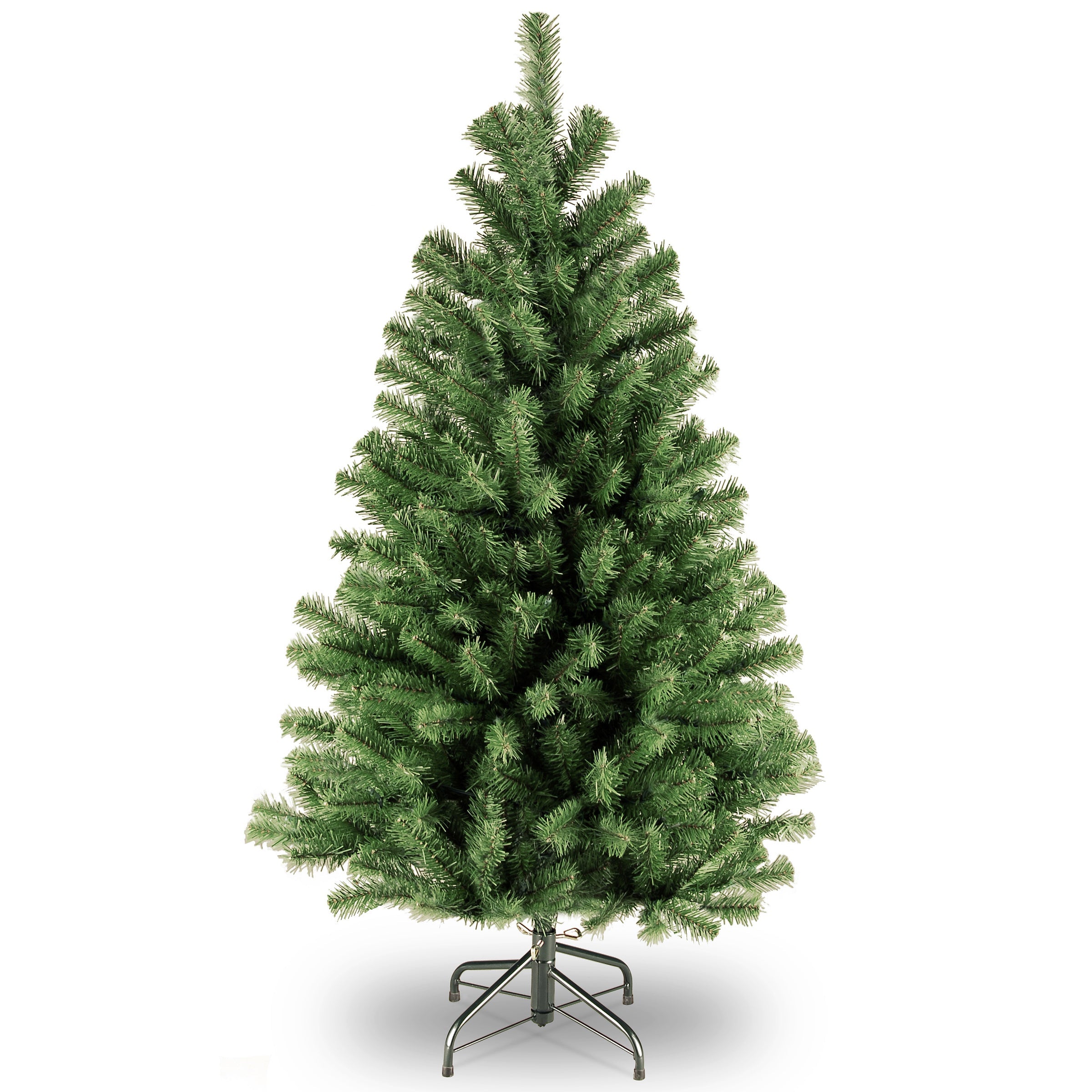 North Valley Spruce Trees