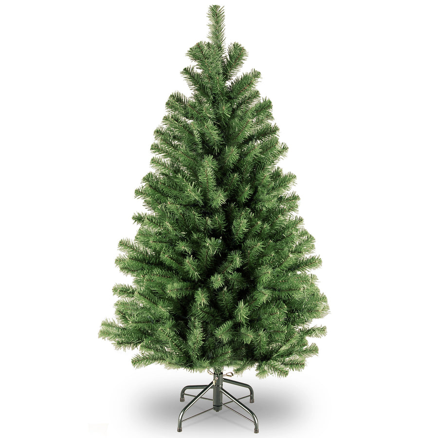 North Valley Spruce Trees