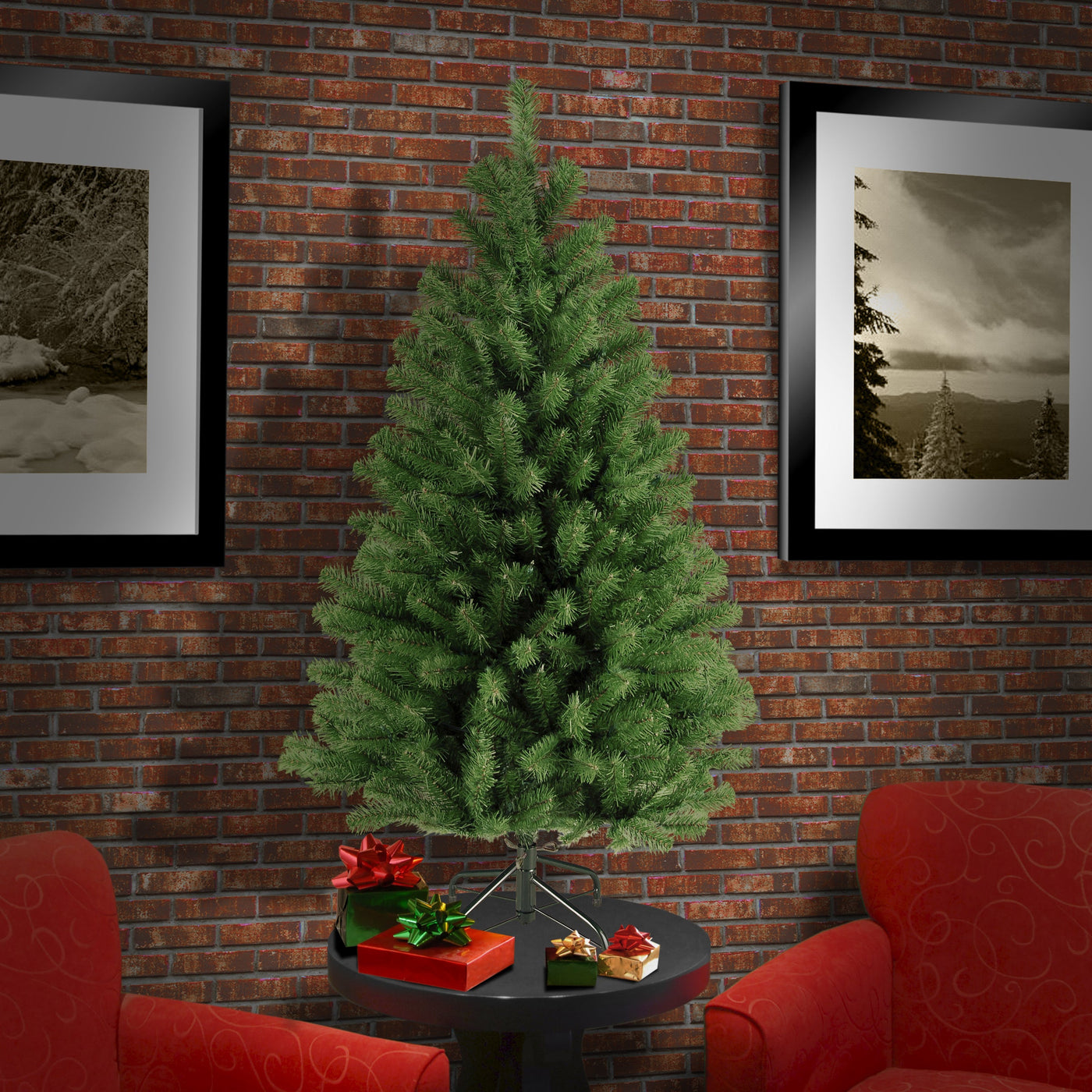 4 ft. North Valley Spruce Tree
