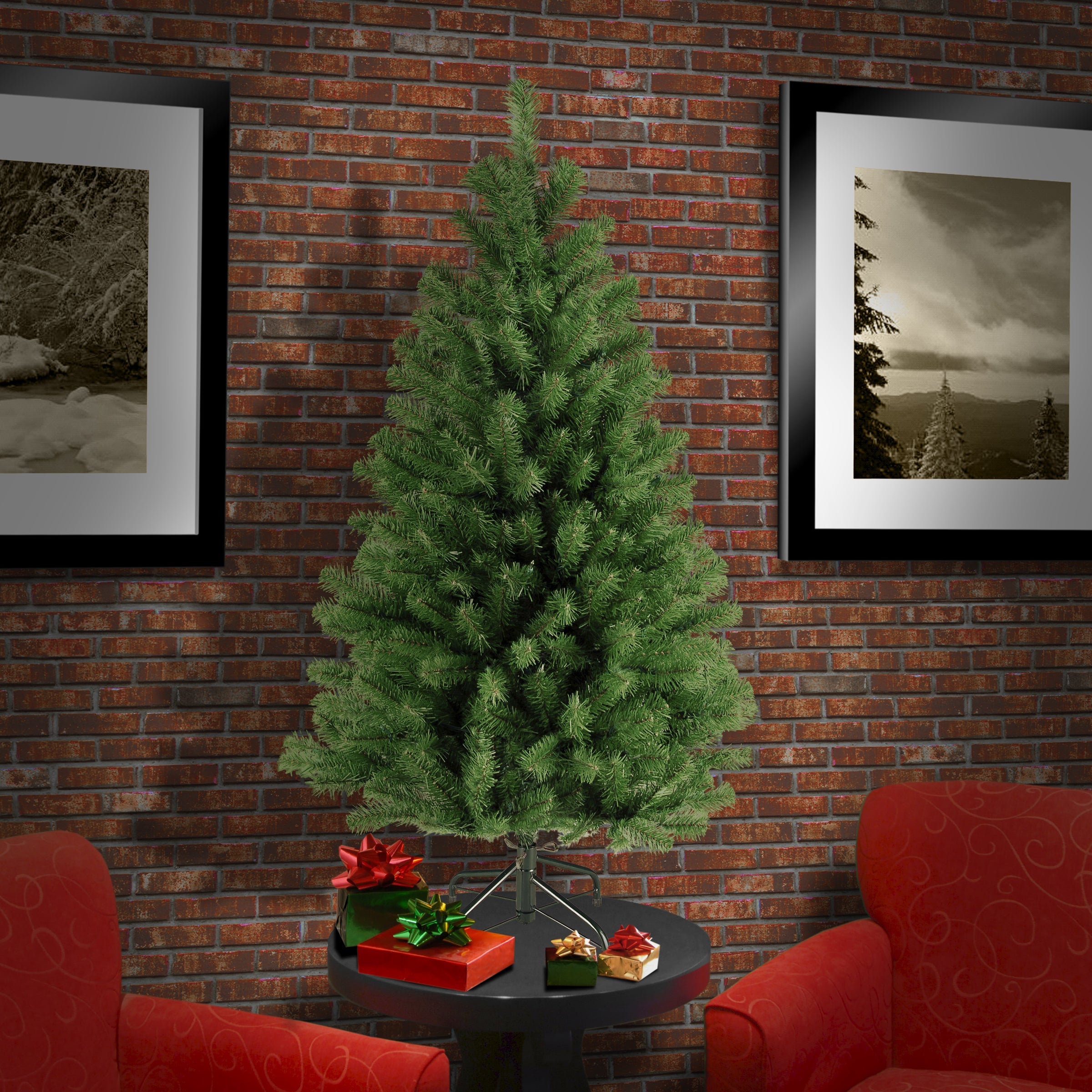 4 ft. North Valley Spruce Tree