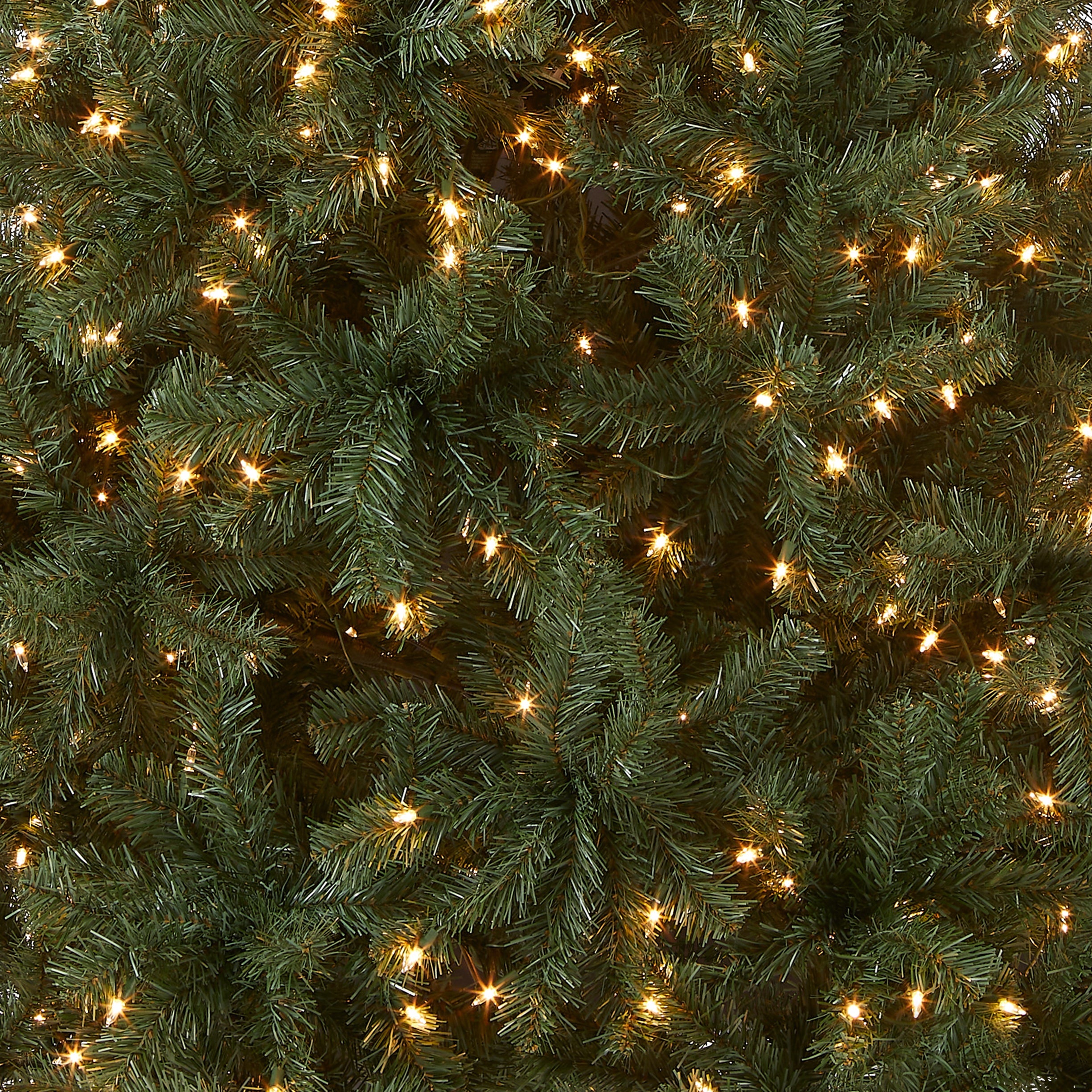 6.5 ft. Pre-Lit North Valley Spruce Blue Tree with Clear Lights