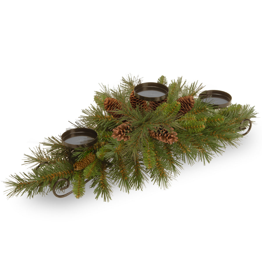 9 ft. Pre-Lit Pine Cone Garland with Clear Lights