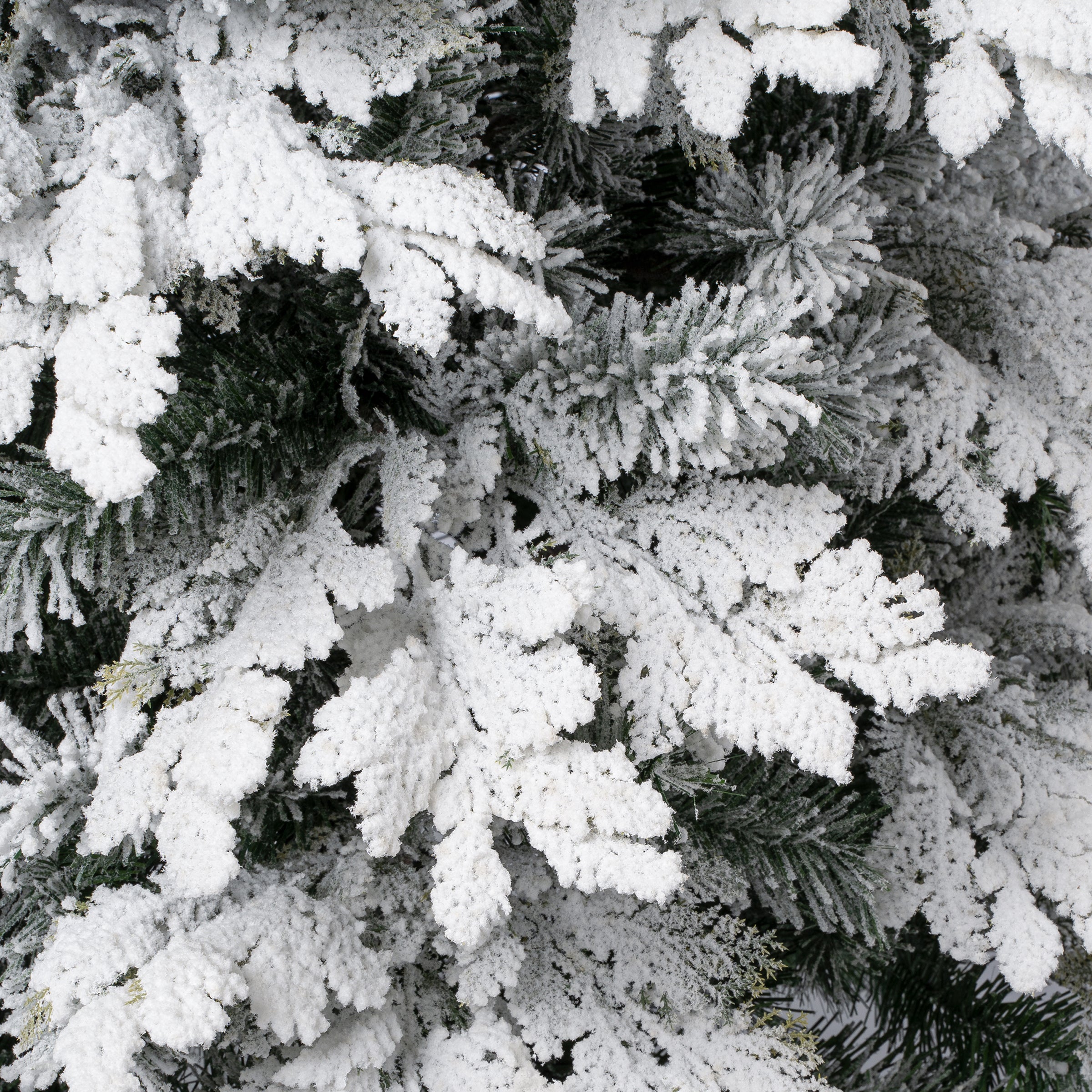 6 ft. Acacius Snowy Tree