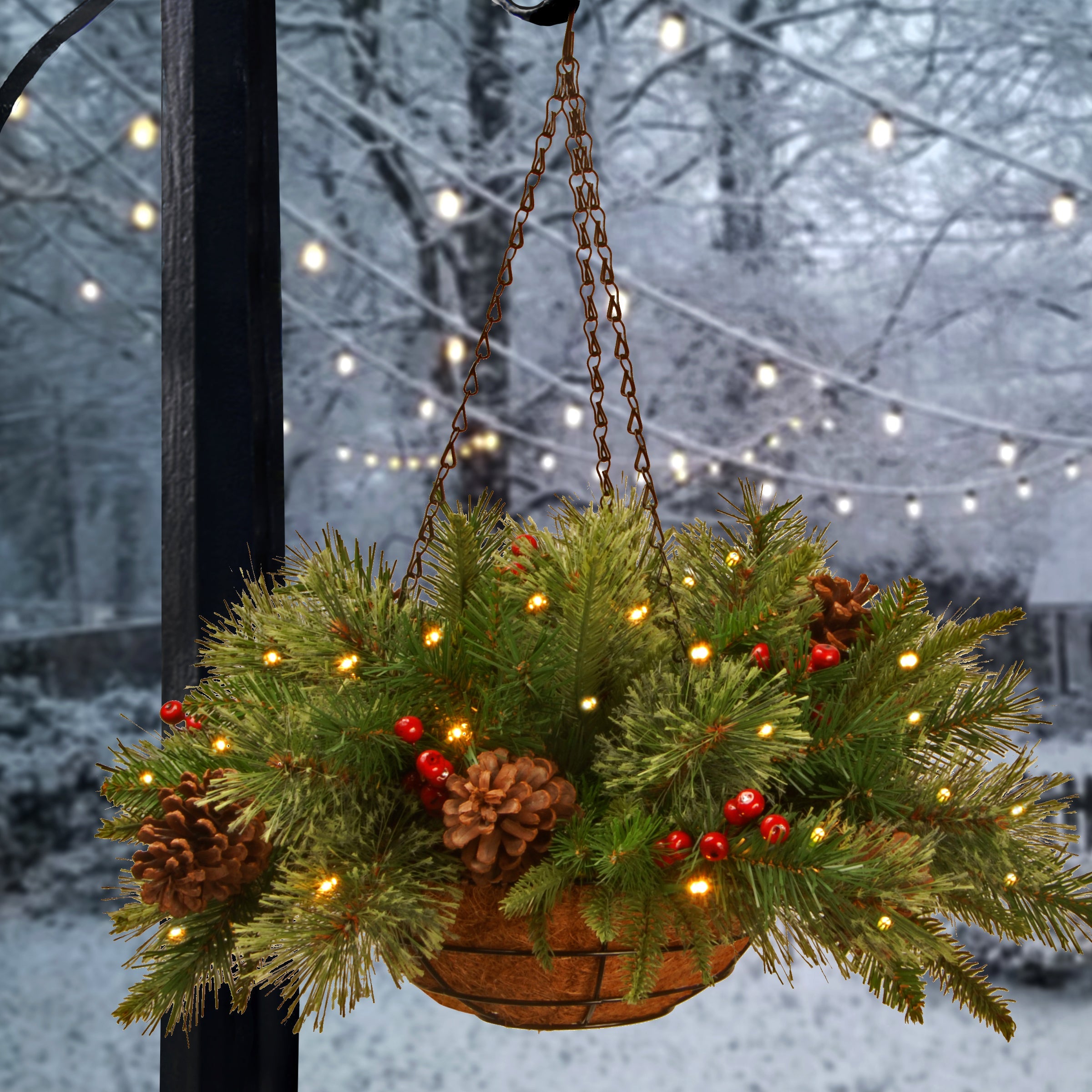 20 in. Pre-Lit Colonial Fir Hanging Basket with LED Lights