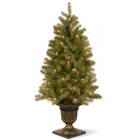 4 ft. Pre-Lit Downswept Douglas Fir Tree with Clear Lights