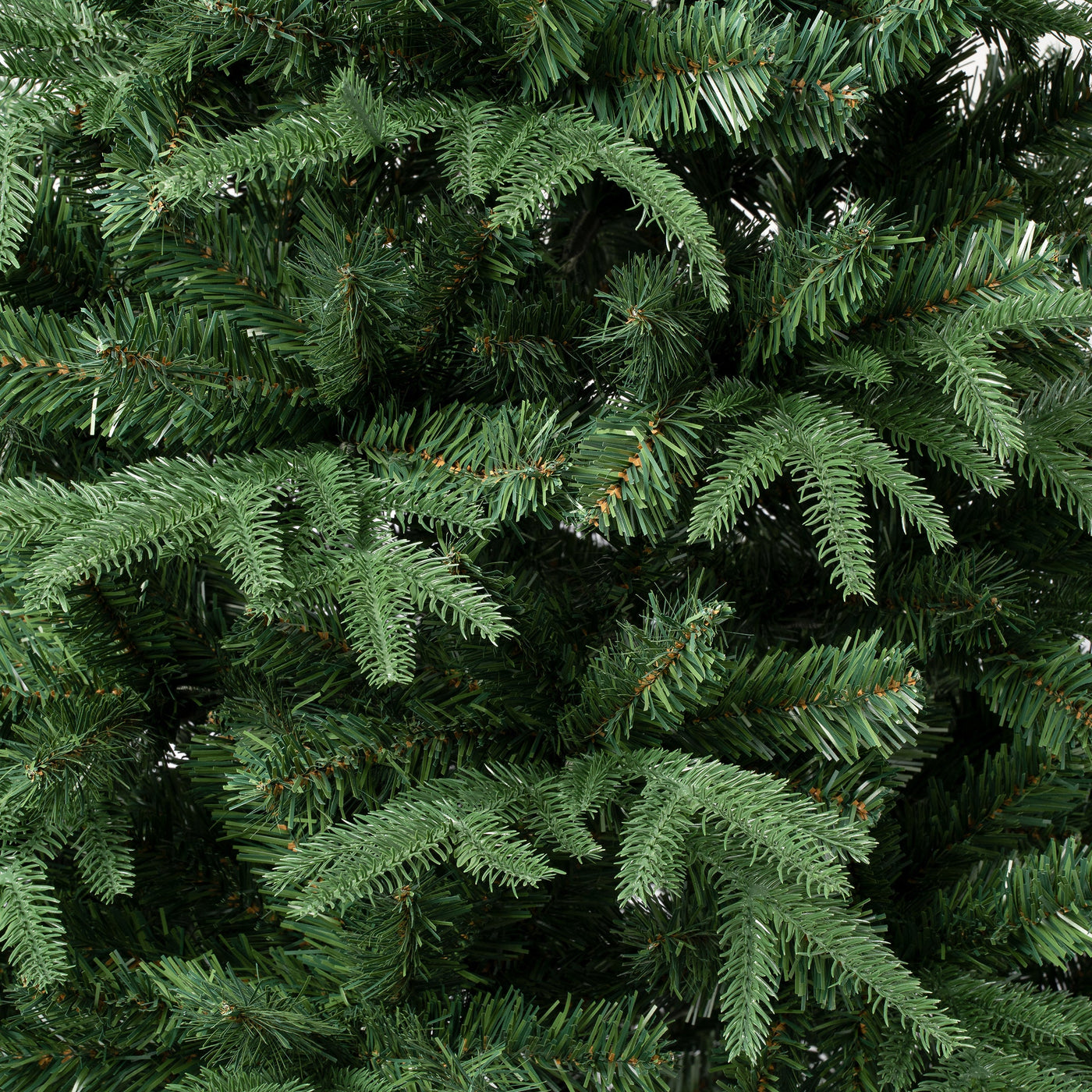 7.5 ft. Duxbury Tree