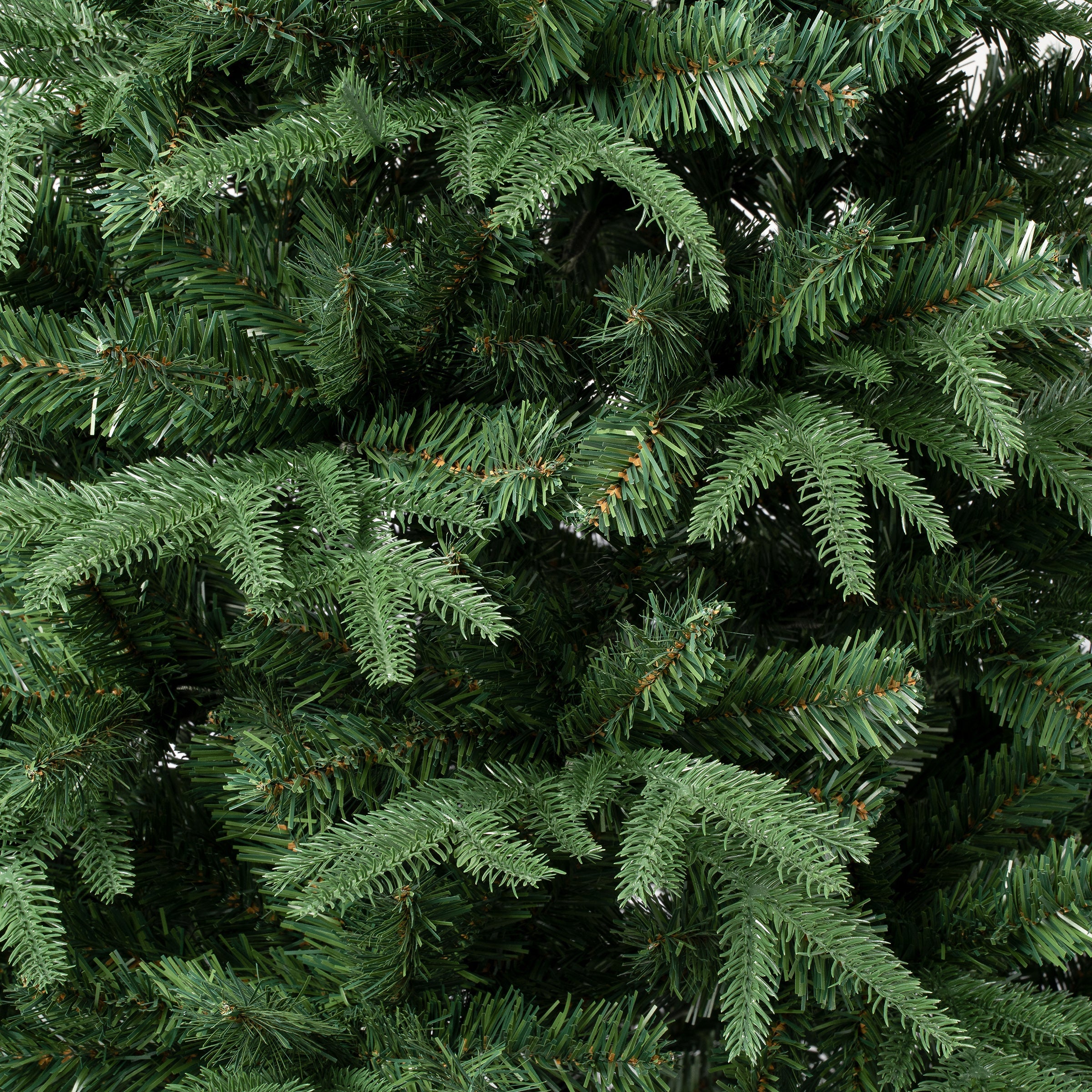 7.5 ft. Duxbury Tree