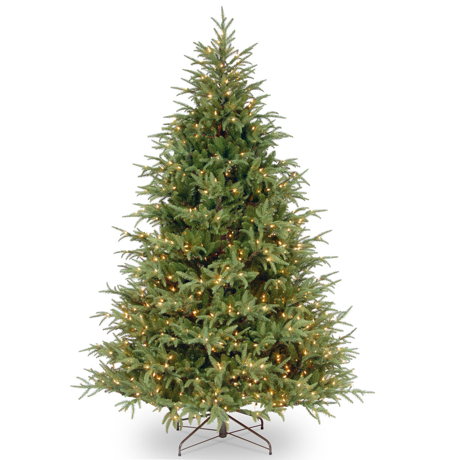 6.5 ft. Pre-Lit Fraser Grande Tree with Clear Lights
