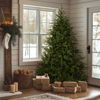7.5 ft. Fraser Grande Tree