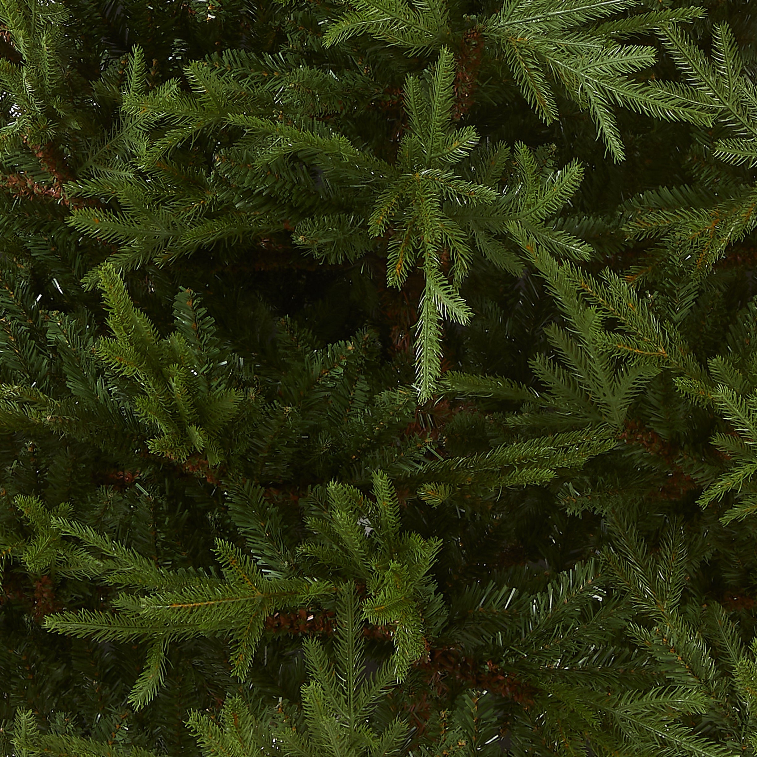 7.5 ft. Fraser Grande Tree