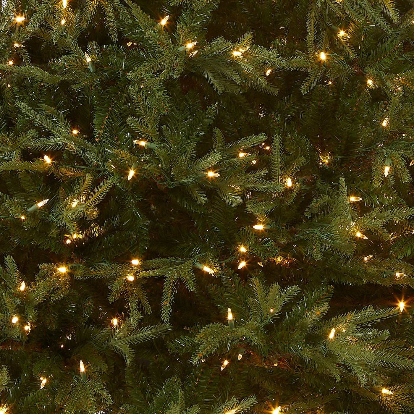 7.5 ft. Pre-Lit Fraser Grande Tree with Dual Color LED Lights