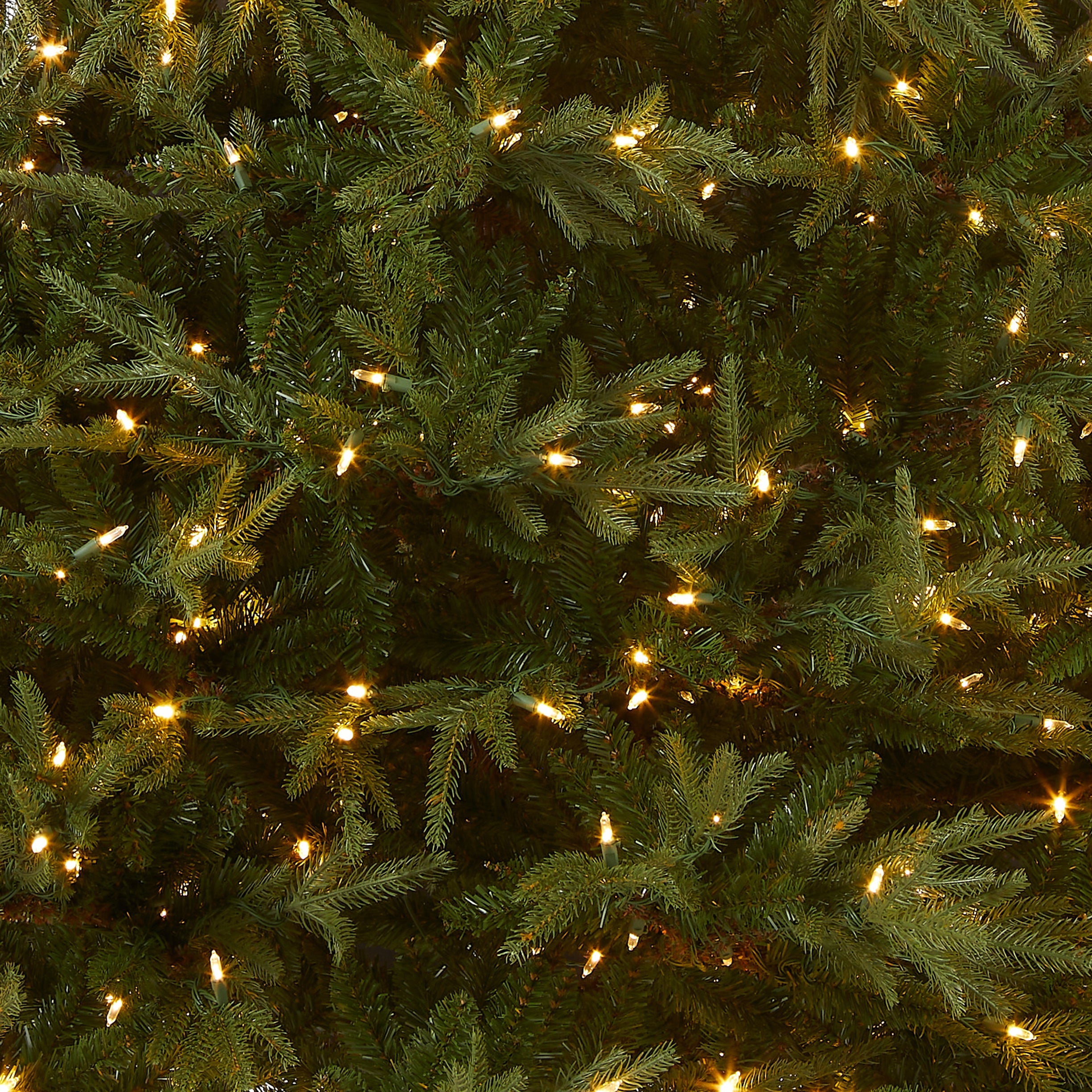 7.5 ft. Pre-Lit Fraser Grande Tree with Dual Color LED Lights
