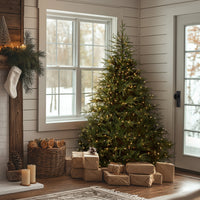 6 ft. Pre-Lit Fraser Grande with Dual Color LED Lights