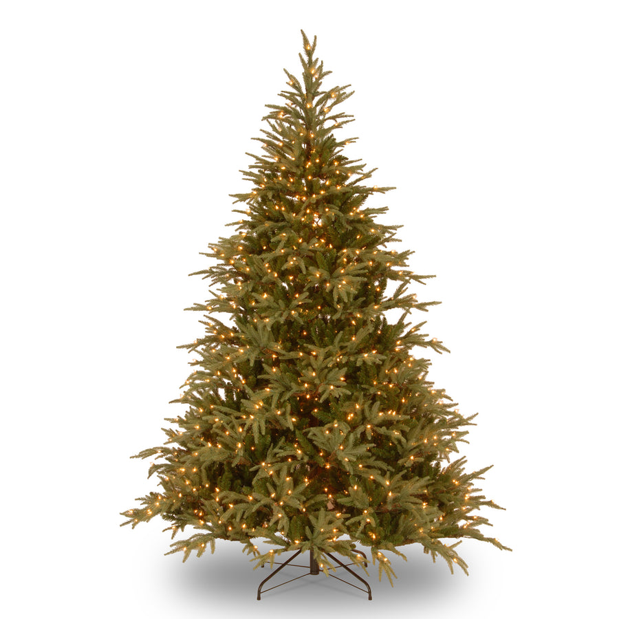 9 ft. Pre-Lit Frasier Grande Tree with Dual Color LED Lights