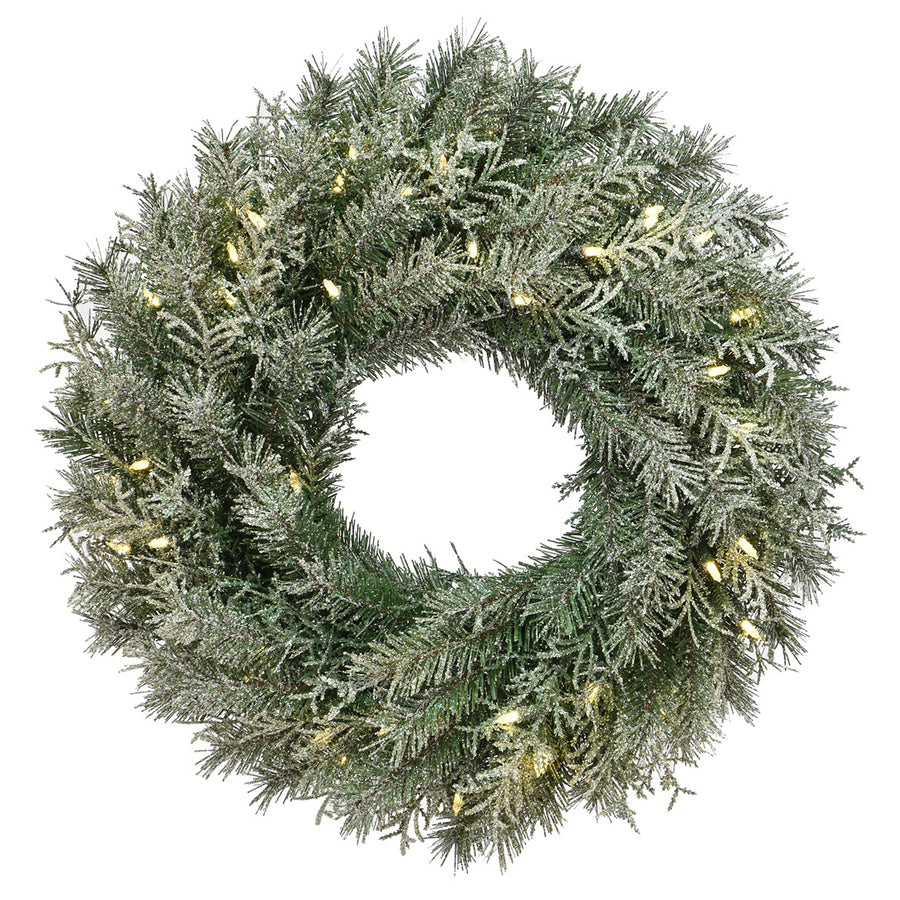 24 in. Pre-Lit Snowy Stonington Fir Wreath with LED Lights