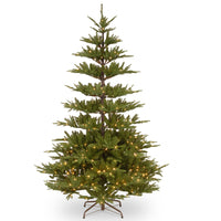 7.5 ft. Pre-Lit Glenwood Fir Tree with PowerConnect Clear Lights
