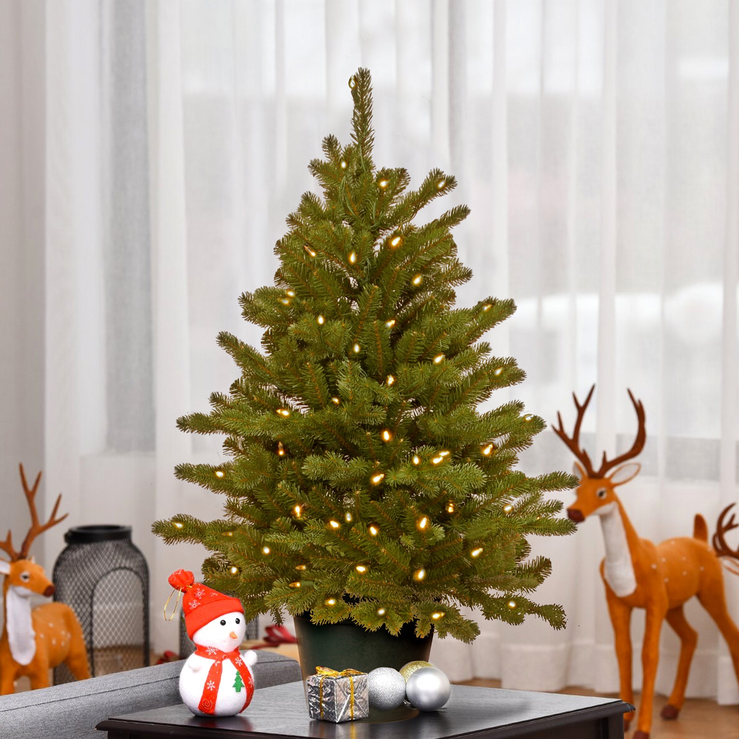 3 ft. Pre-Lit Hampton Spruce Tree with Clear Lights