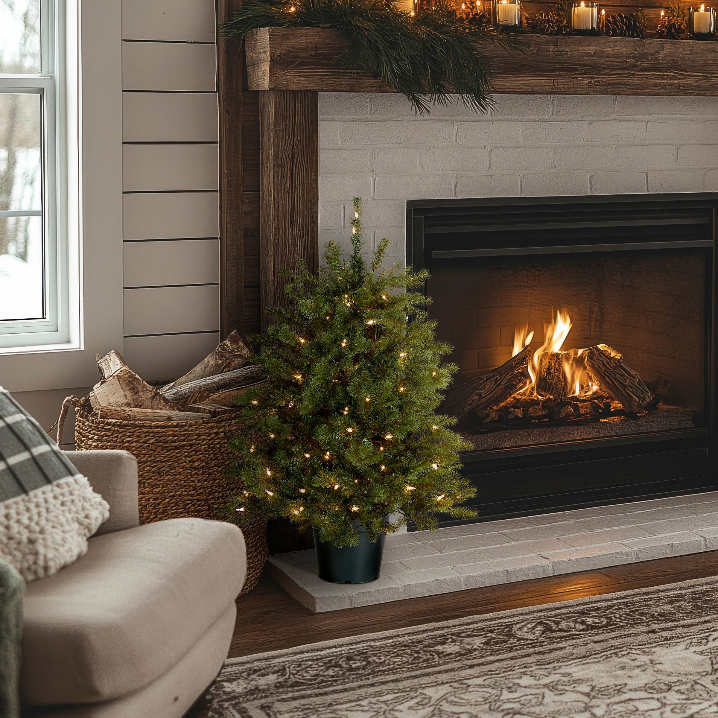 3 ft. Pre-Lit Hampton Spruce Tree with Clear Lights
