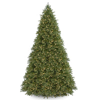 12 ft. Pre-Lit Jersey Fraser Fir Tree with Clear Lights