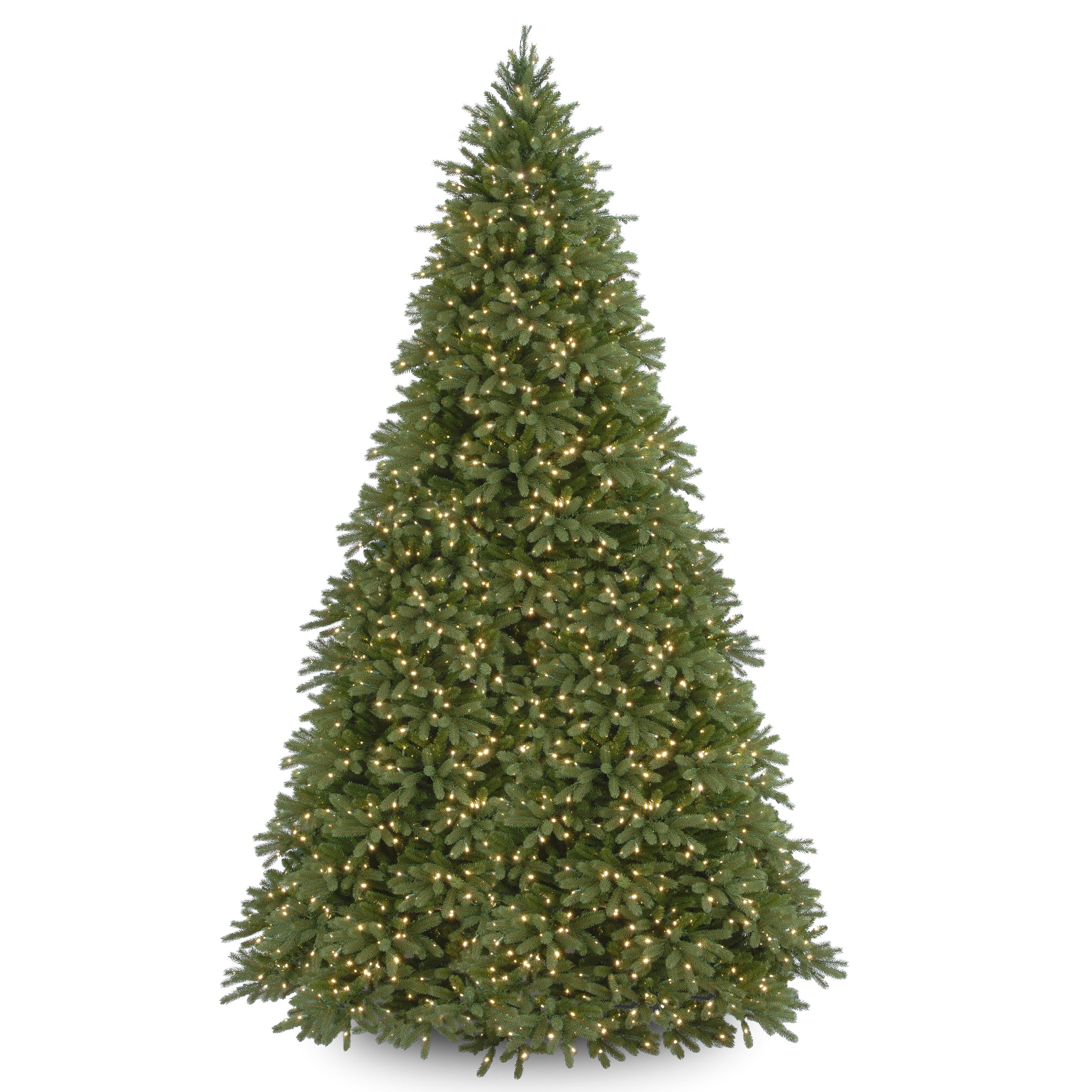 12 ft. Pre-Lit Jersey Fraser Fir Tree with Clear Lights
