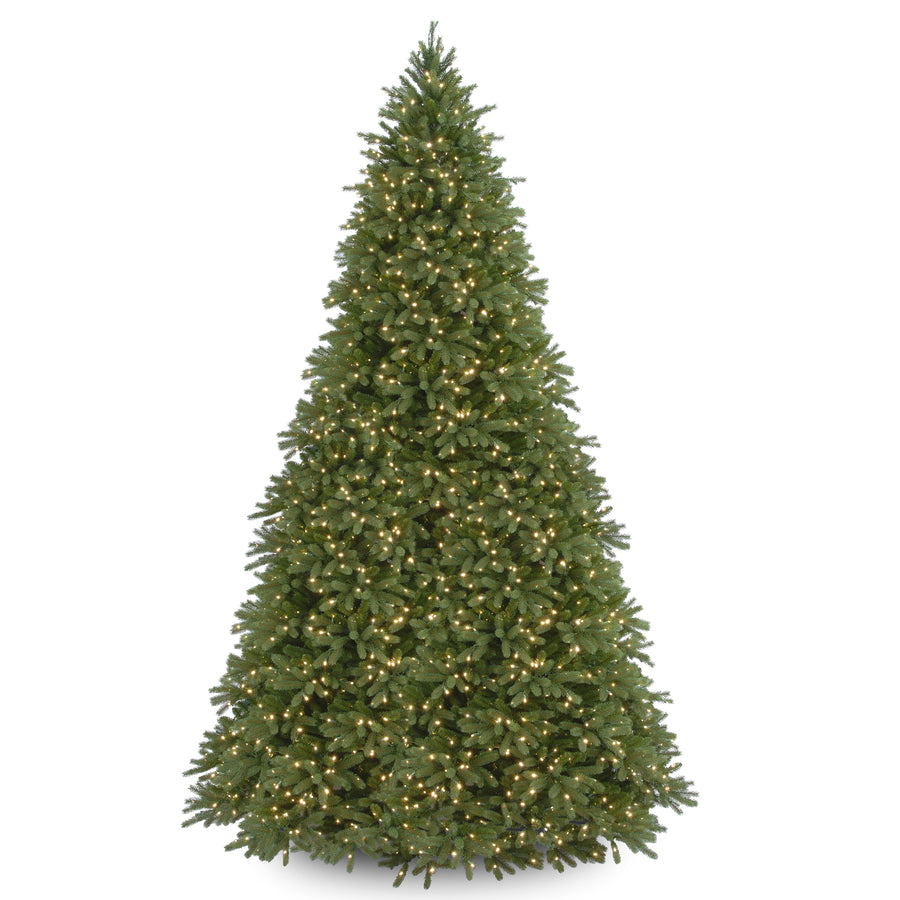 12ft. Pre-Lit Jersey Fraser Fir Tree with Clear Lights
