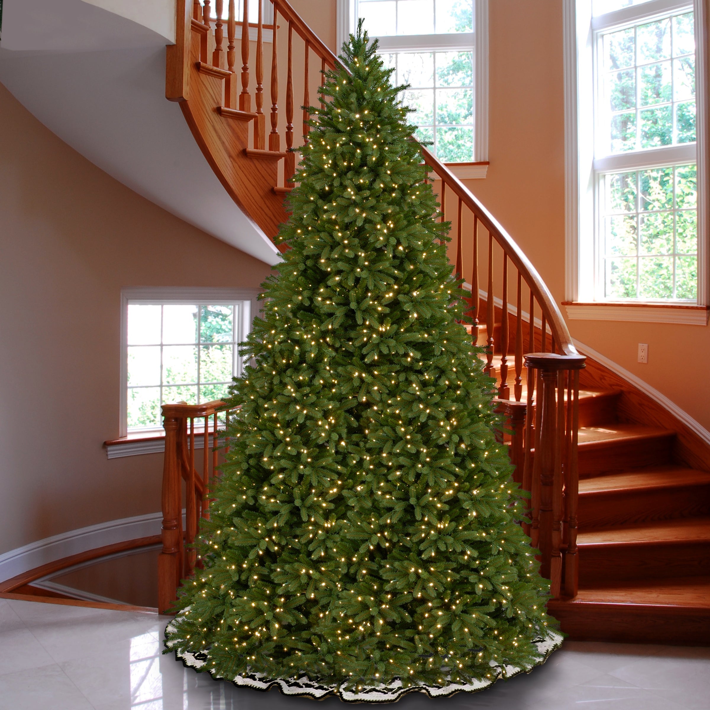 12 ft. Pre-Lit Jersey Fraser Fir Tree with Clear Lights