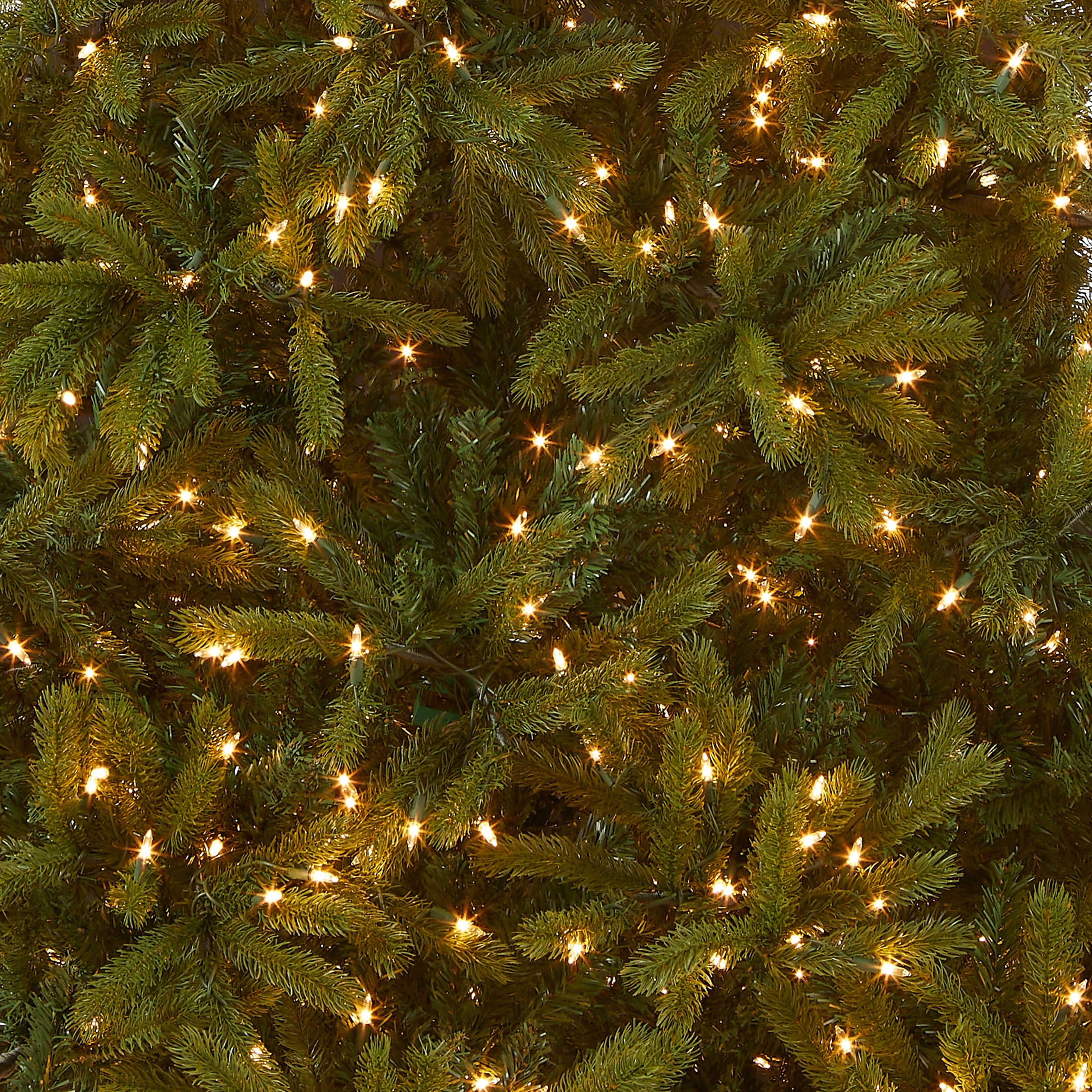 7.5 ft. Pre-Lit Jersey Fraser Fir Tree with Clear Lights