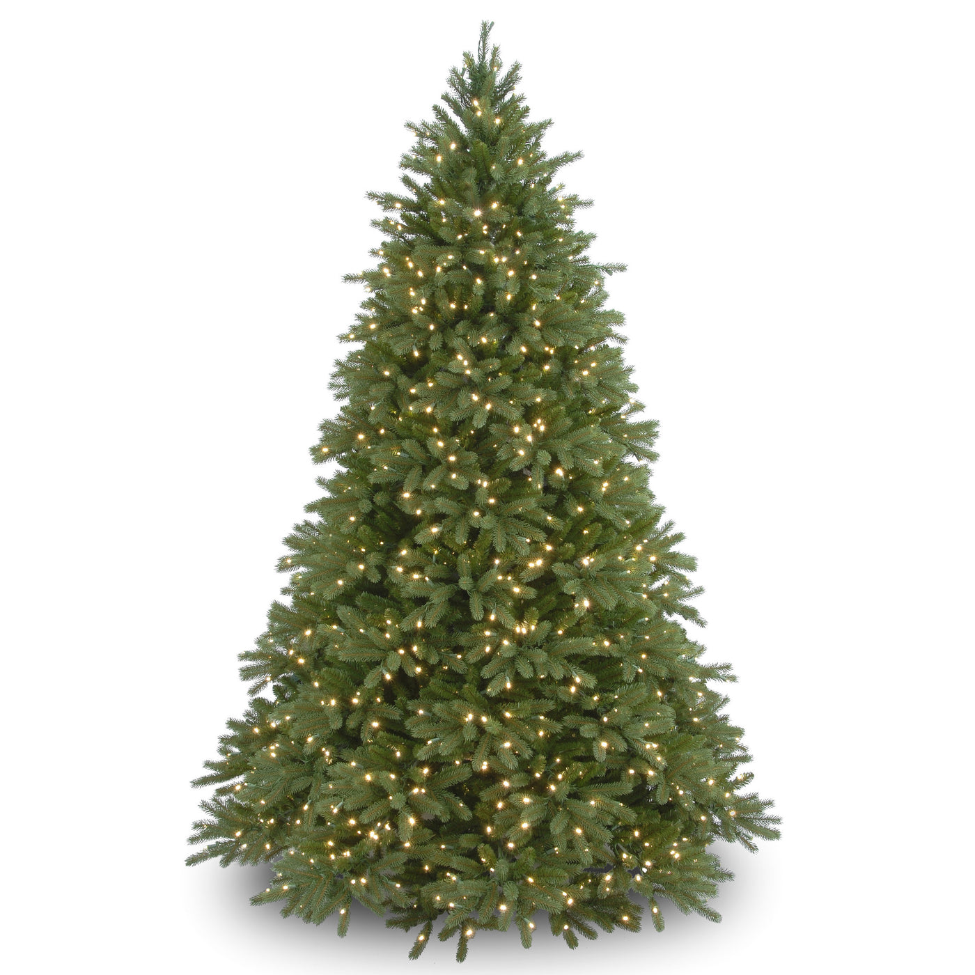 Jersey Fraser Trees