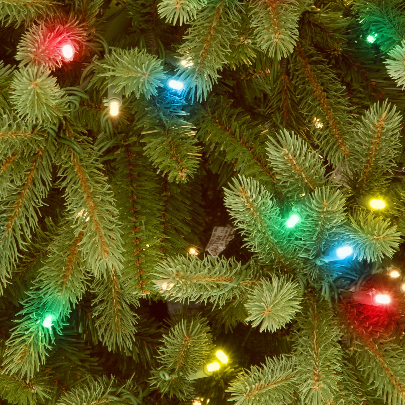 4.5 ft. Pre-Lit Jersey Fraser Fir Tree with Multicolor Lights