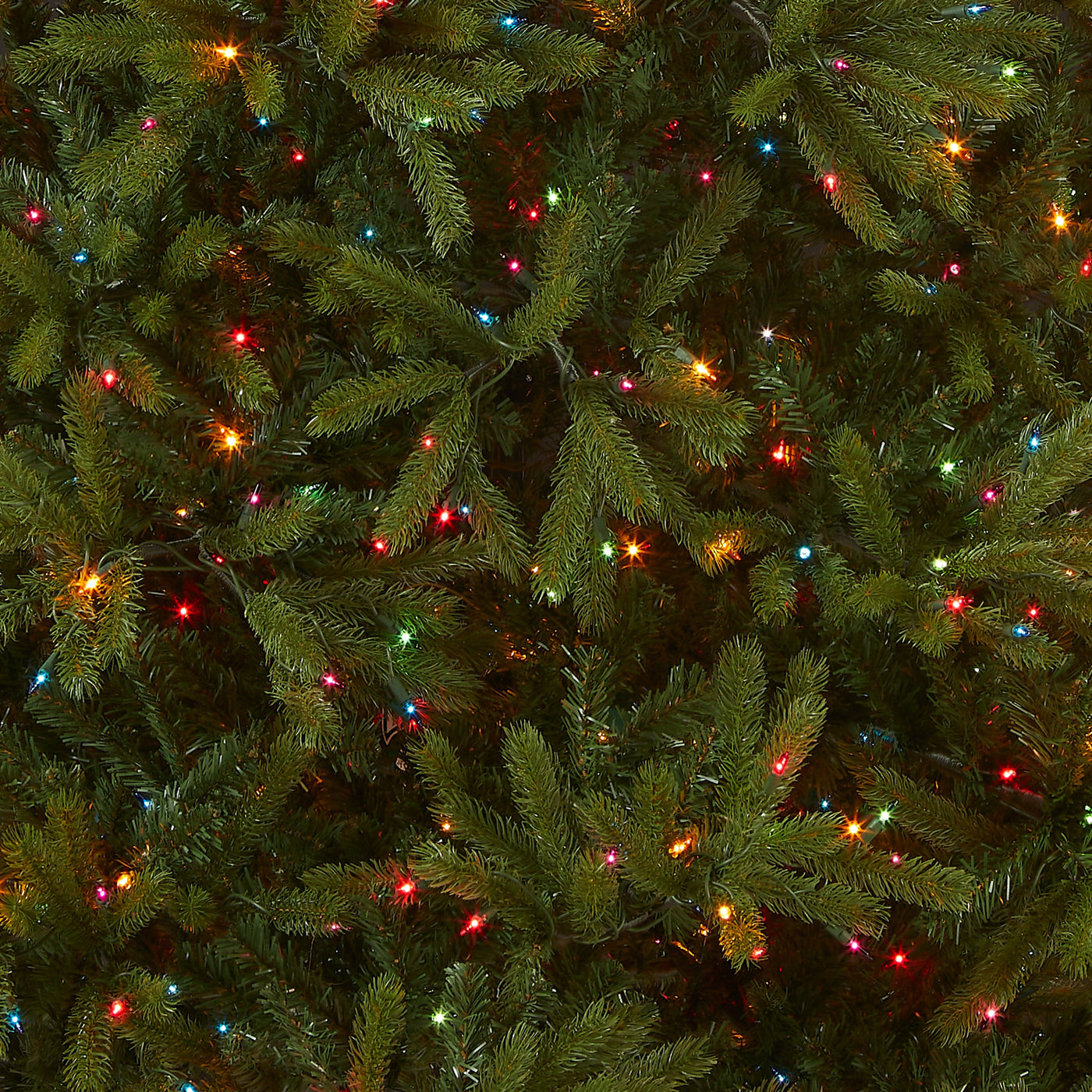 7.5 ft. Pre-Lit Jersey Fraser Fir Tree with Multicolor Lights