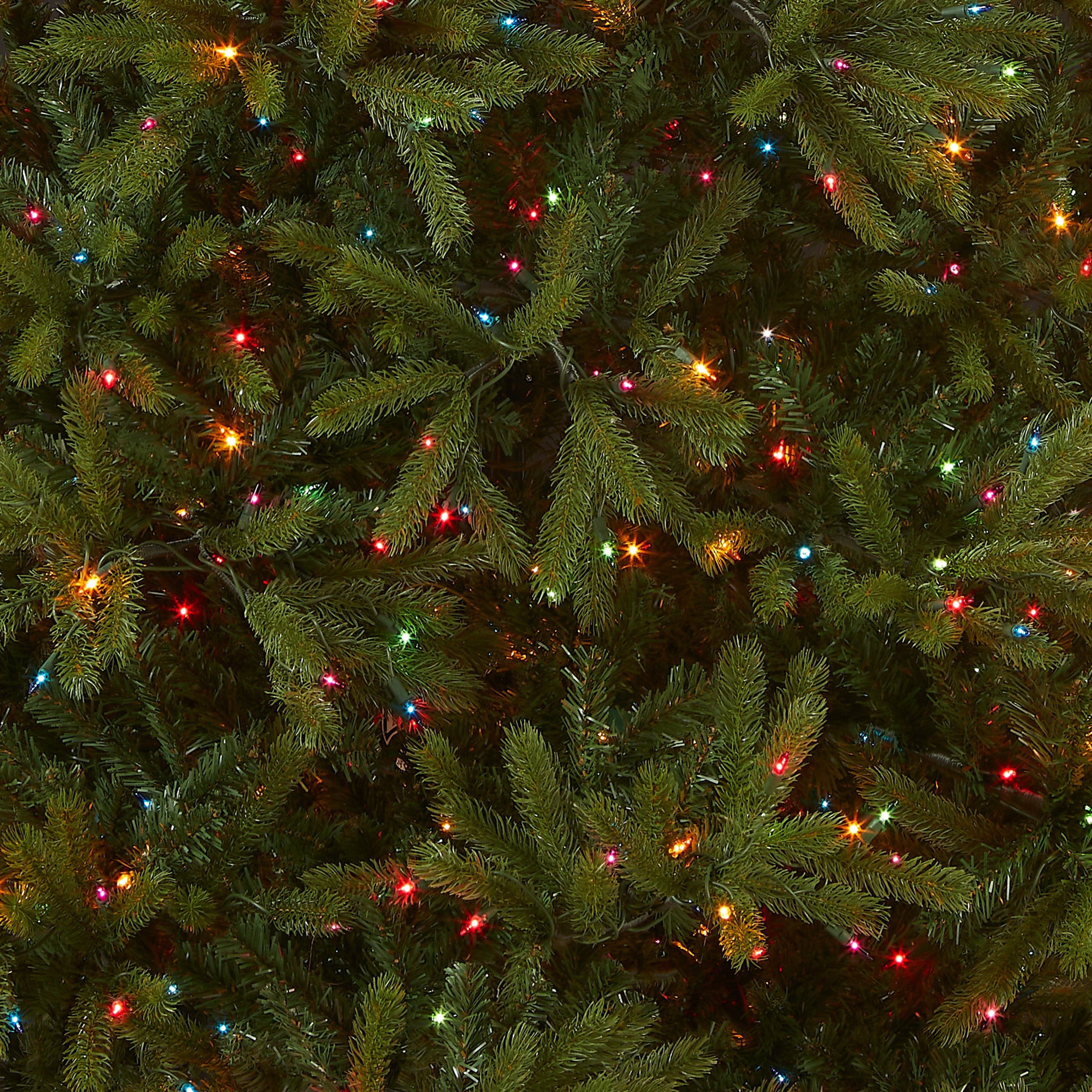 7.5 ft. Pre-Lit Jersey Fraser Fir Tree with Multicolor Lights