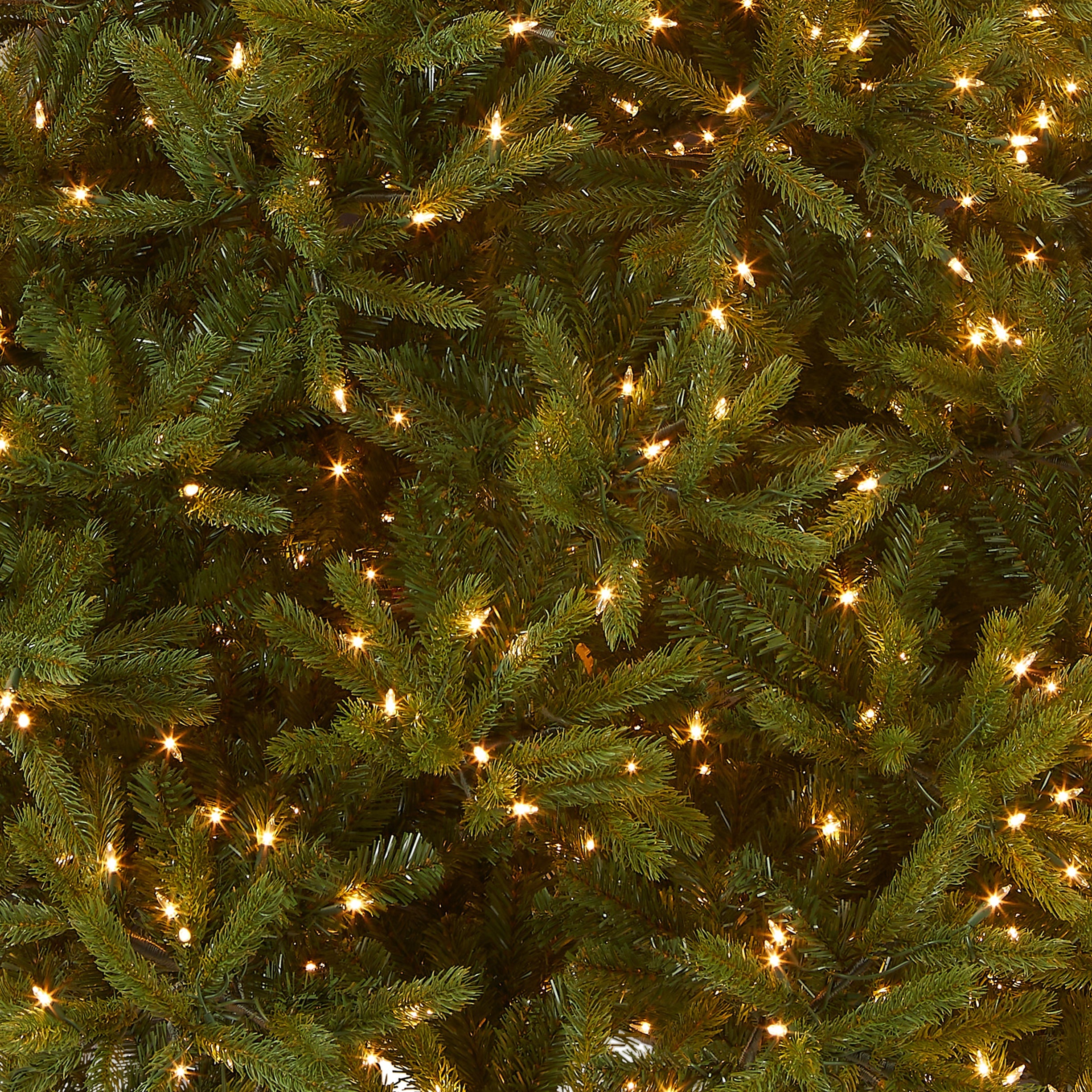 6.5 ft. Pre-Lit Jersey Fraser Fir Medium Tree with Clear Lights