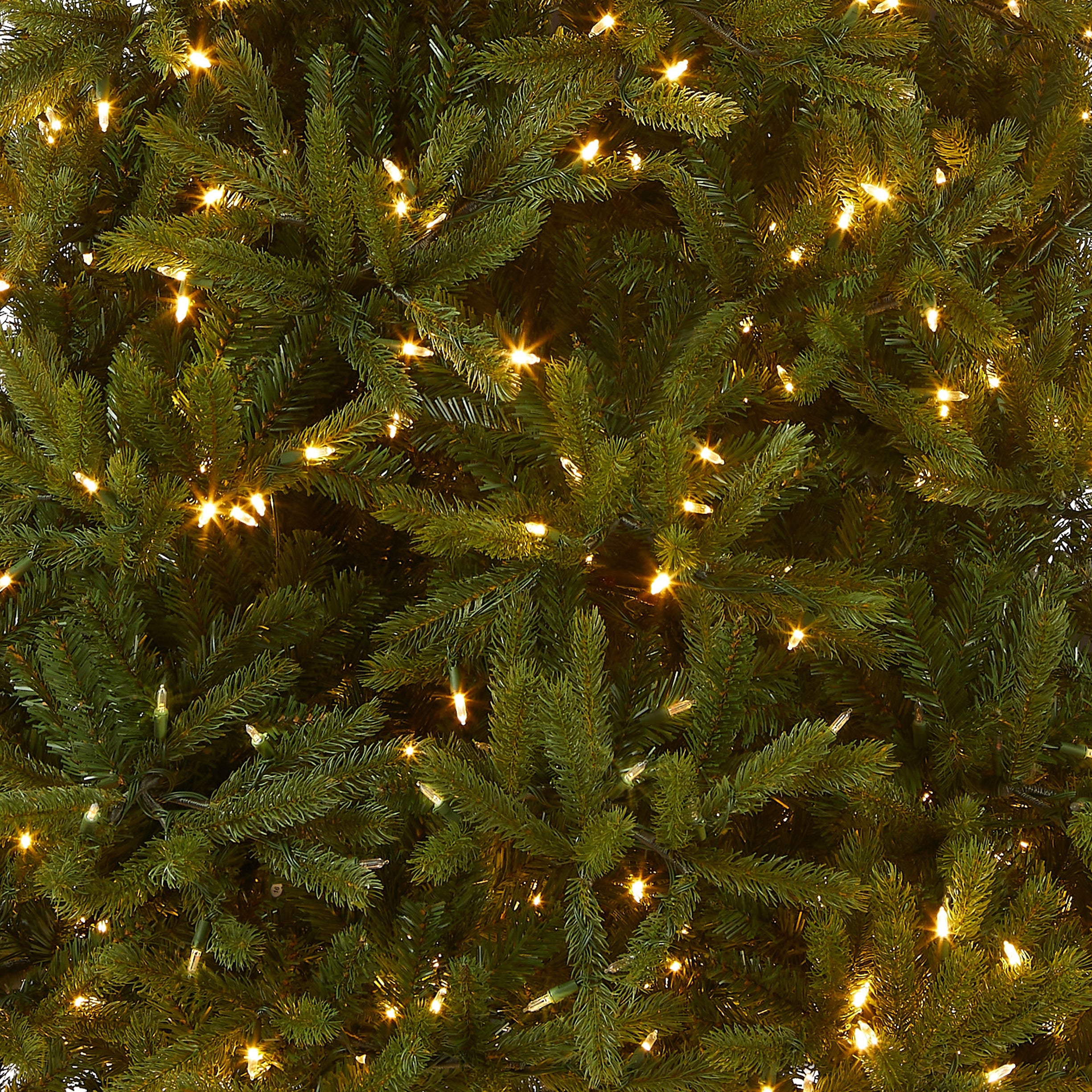 6.5 ft. Pre-Lit Jersey Fraser Fir Medium Tree with Dual Color LED Lights