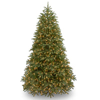 7.5 ft. Pre-Lit Jersey Fraser Fir Medium Tree with Warm White LED Lights