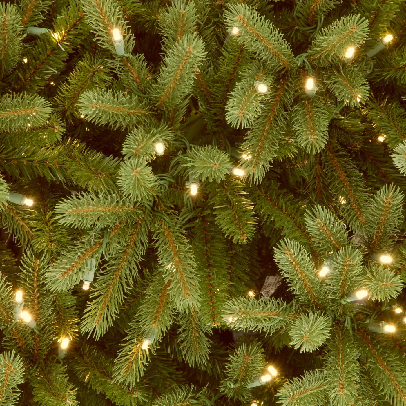 6.5 ft. Pre-Lit Jersey Fraser Fir Pencil Slim Tree with Clear Lights