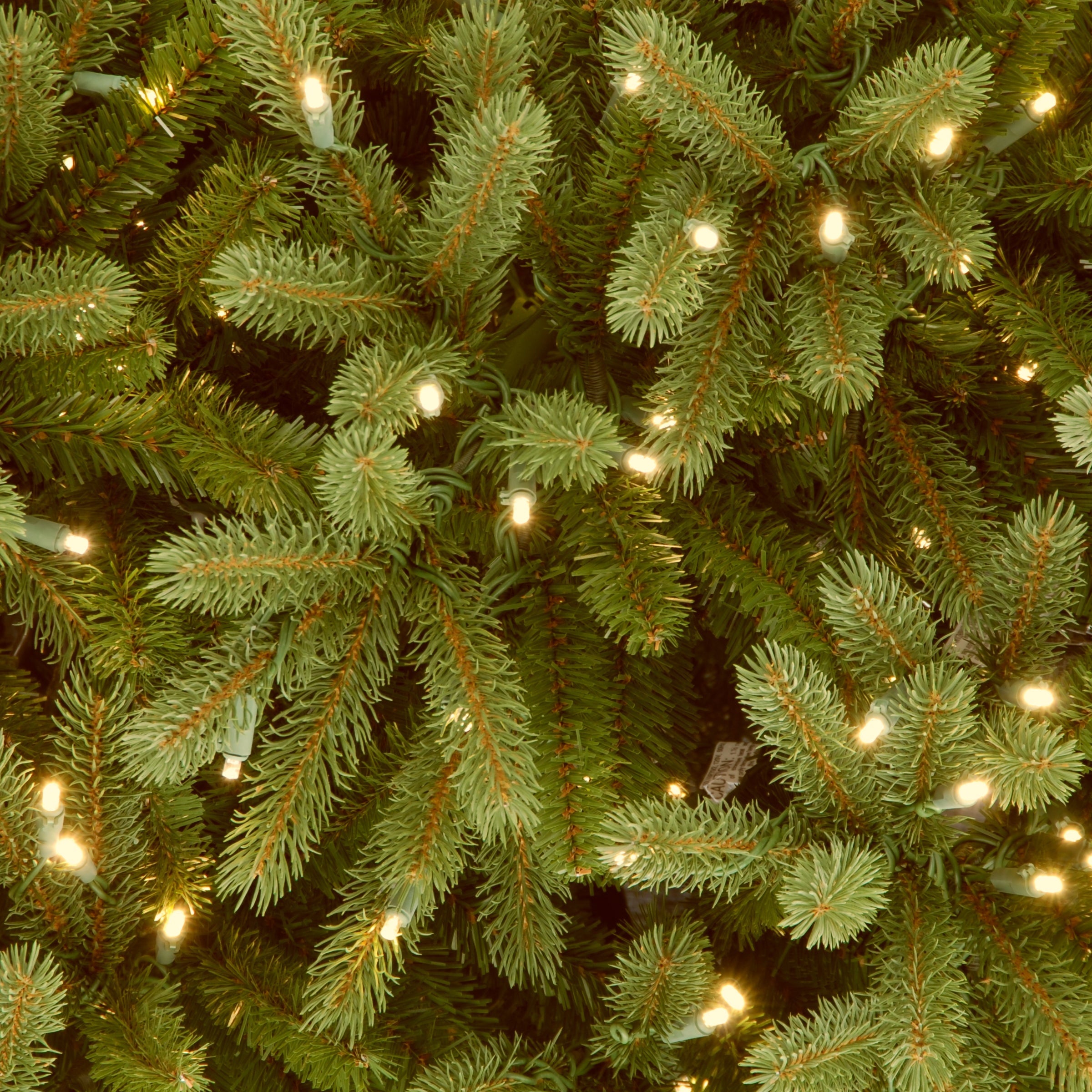 6.5 ft. Pre-Lit Jersey Fraser Fir Pencil Slim Tree with Clear Lights