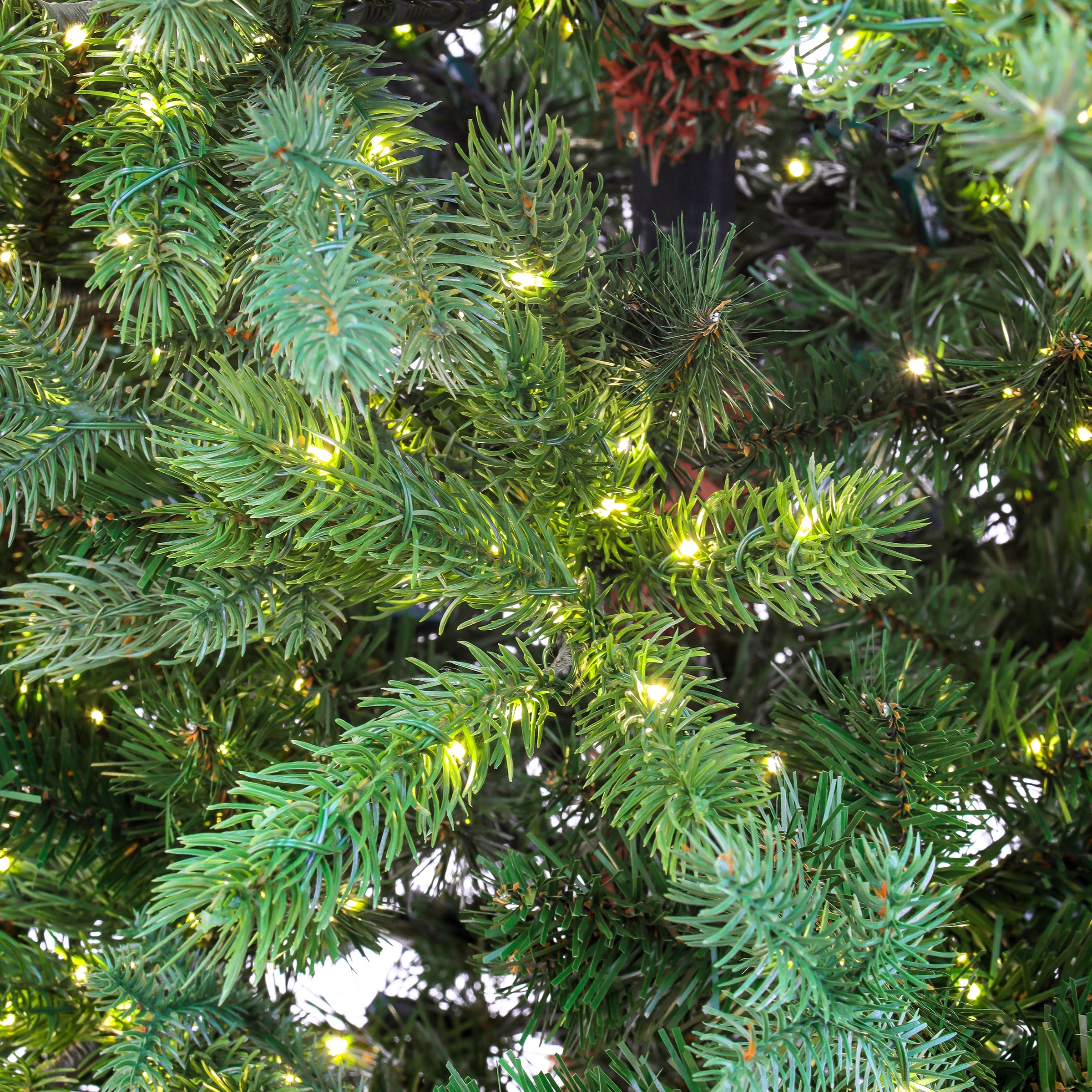 10 ft. Pre-Lit Lark Pine Feel Real Medium Tree with Warm White LED Rice Lights