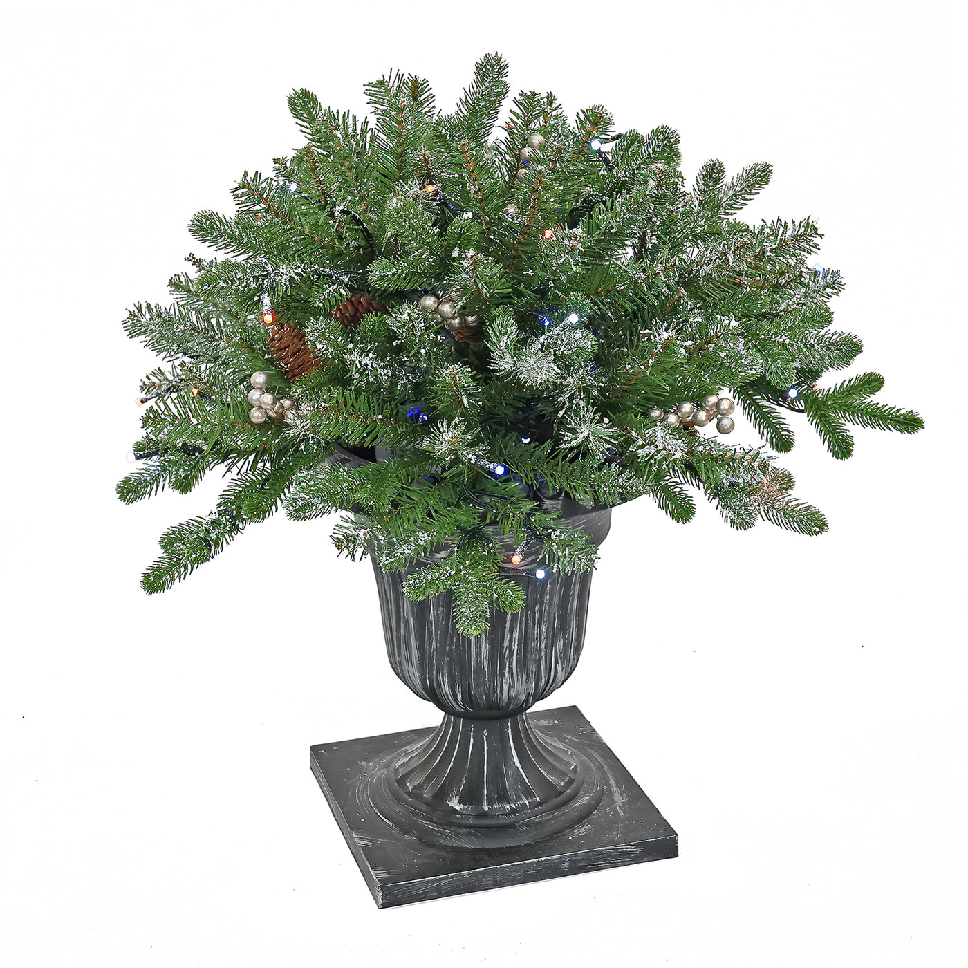 24 in. Pre-Lit Snowy Morgan Spruce Porch Bush with Twinkly LED Lights