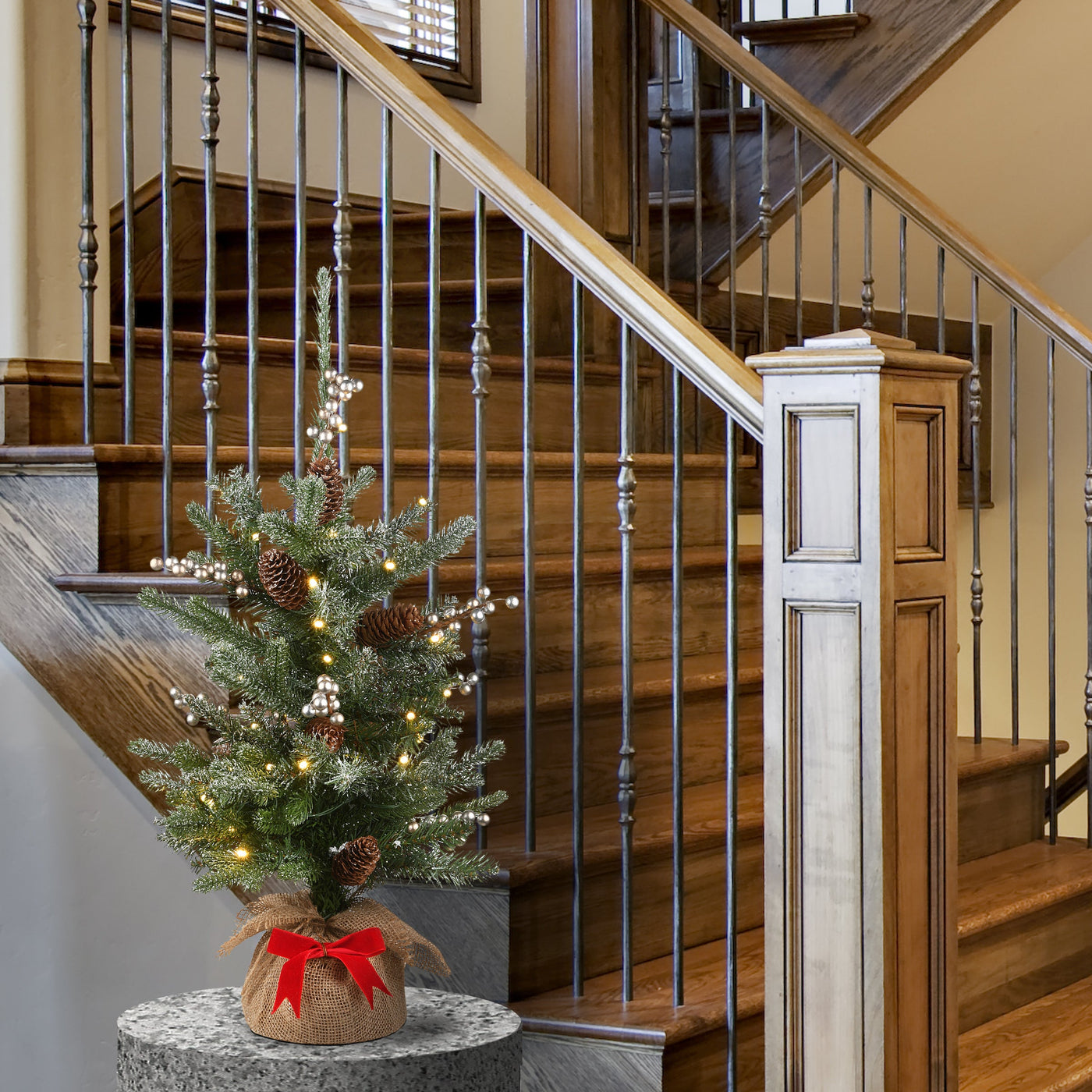 2 ft. Pre-Lit Snowy Morgan Tree with Battery Operated Lights