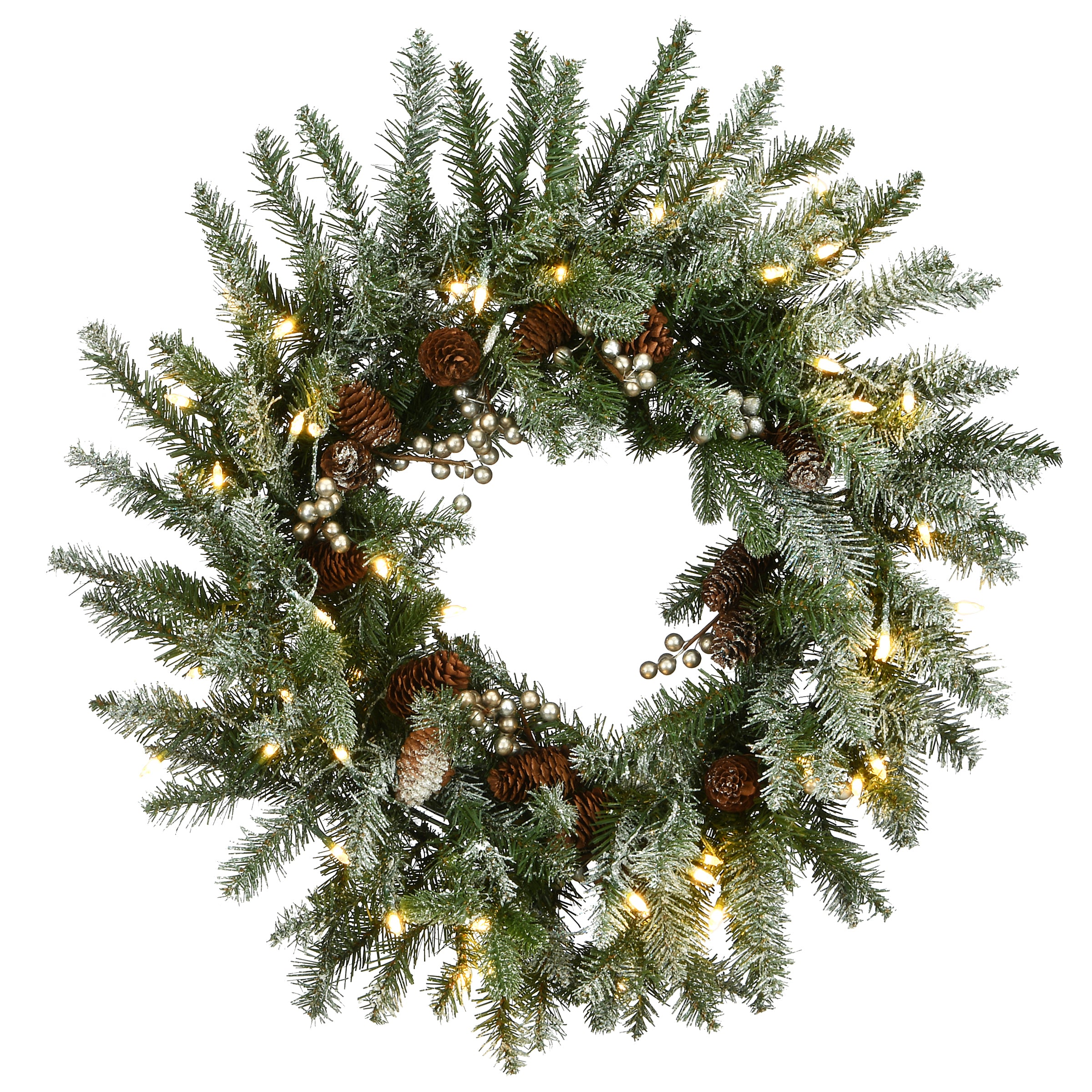 24 in. Pre-Lit Snowy Morgan Spruce Wreath with LED Lights