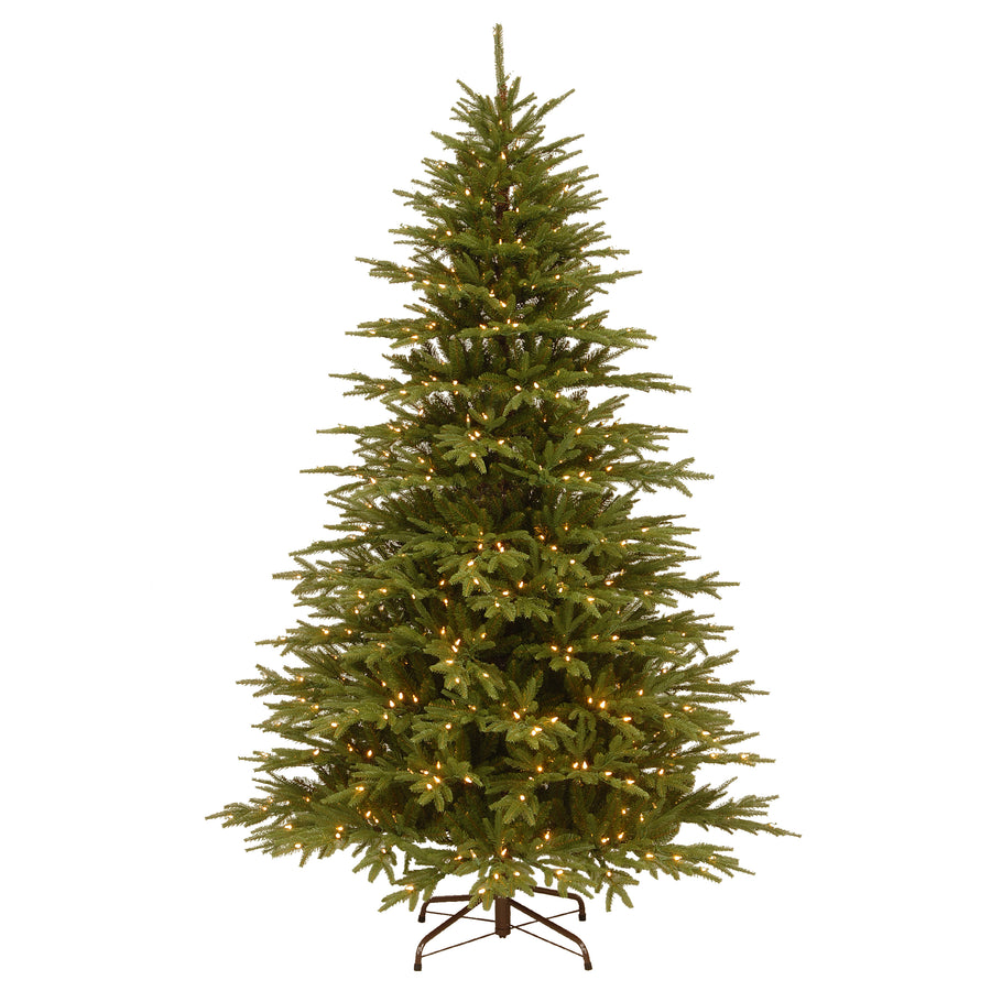 7.5 ft. Pre-Lit Monterrey Fir Tree with Clear Lights
