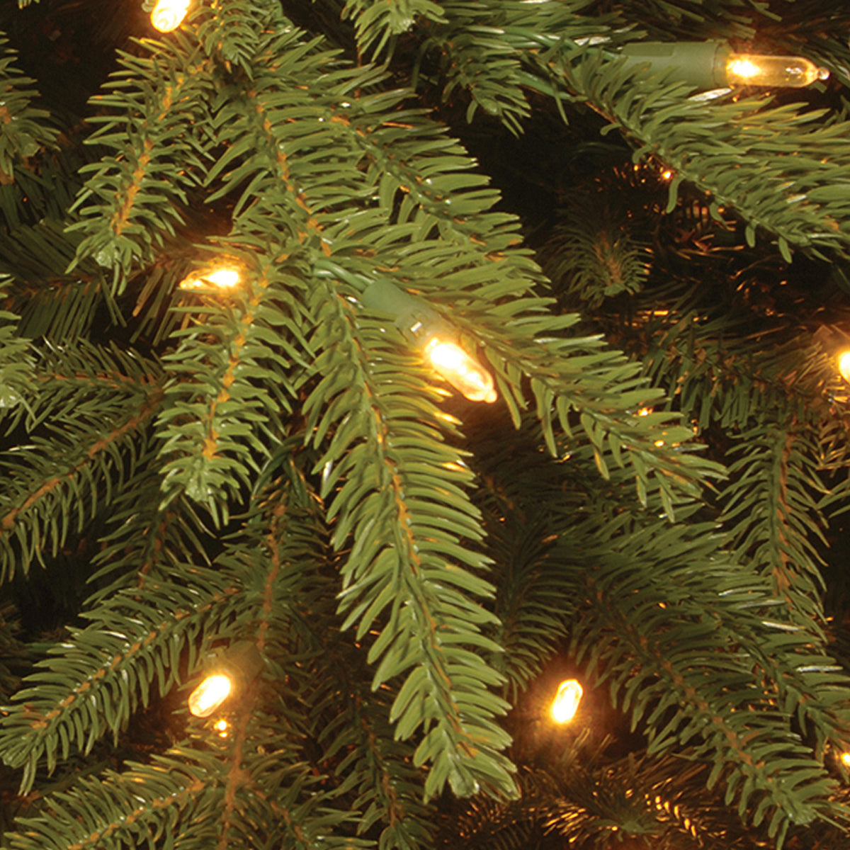 7.5 ft. Pre-Lit Monterrey Fir Tree with Clear Lights