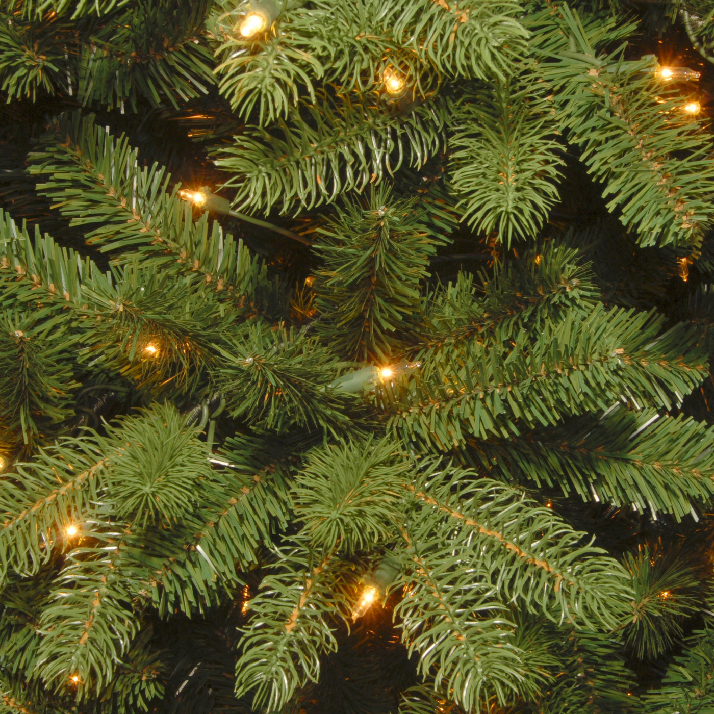 6.5 ft. Pre-Lit Newberry Spruce Tree with Clear Lights