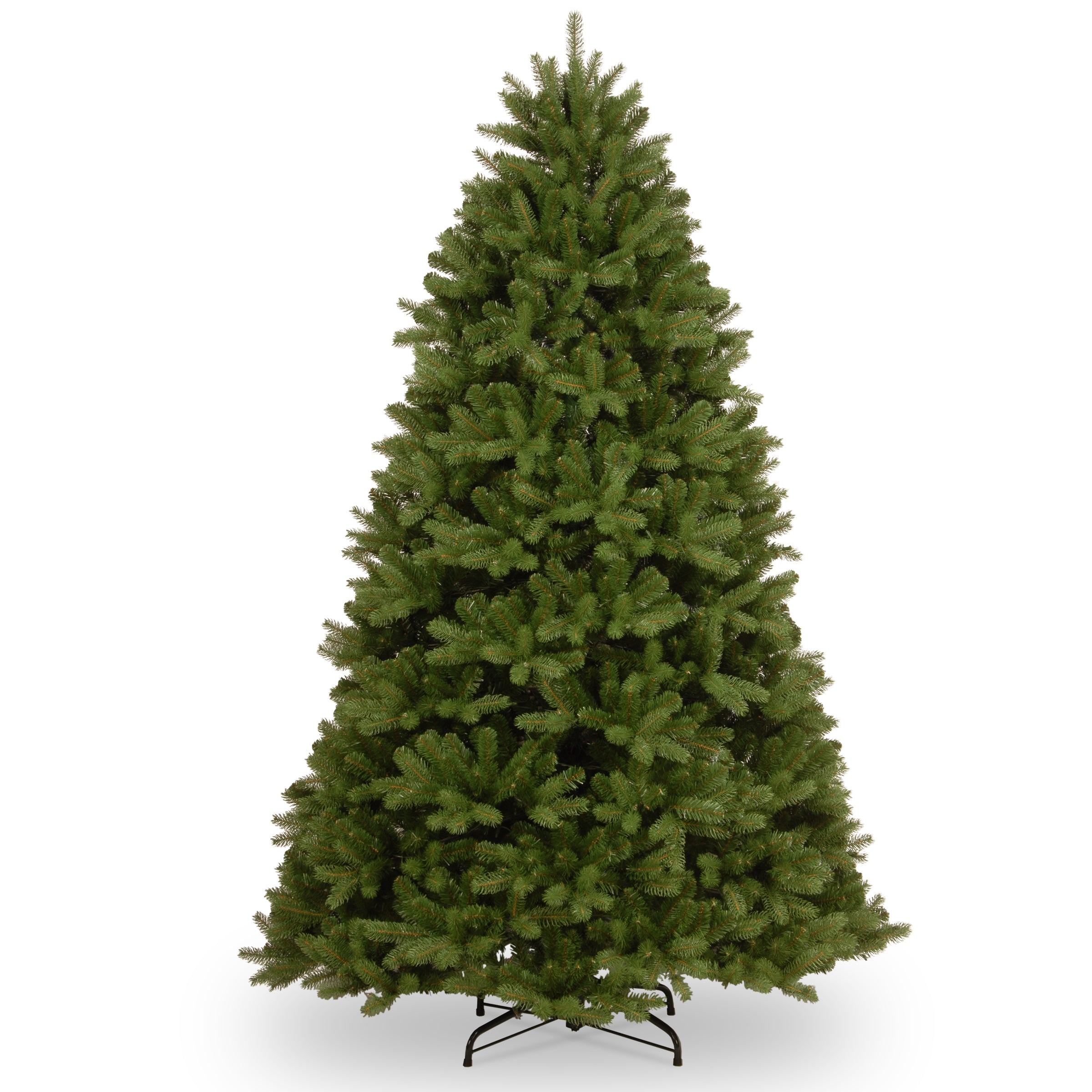 Newberry Spruce Trees