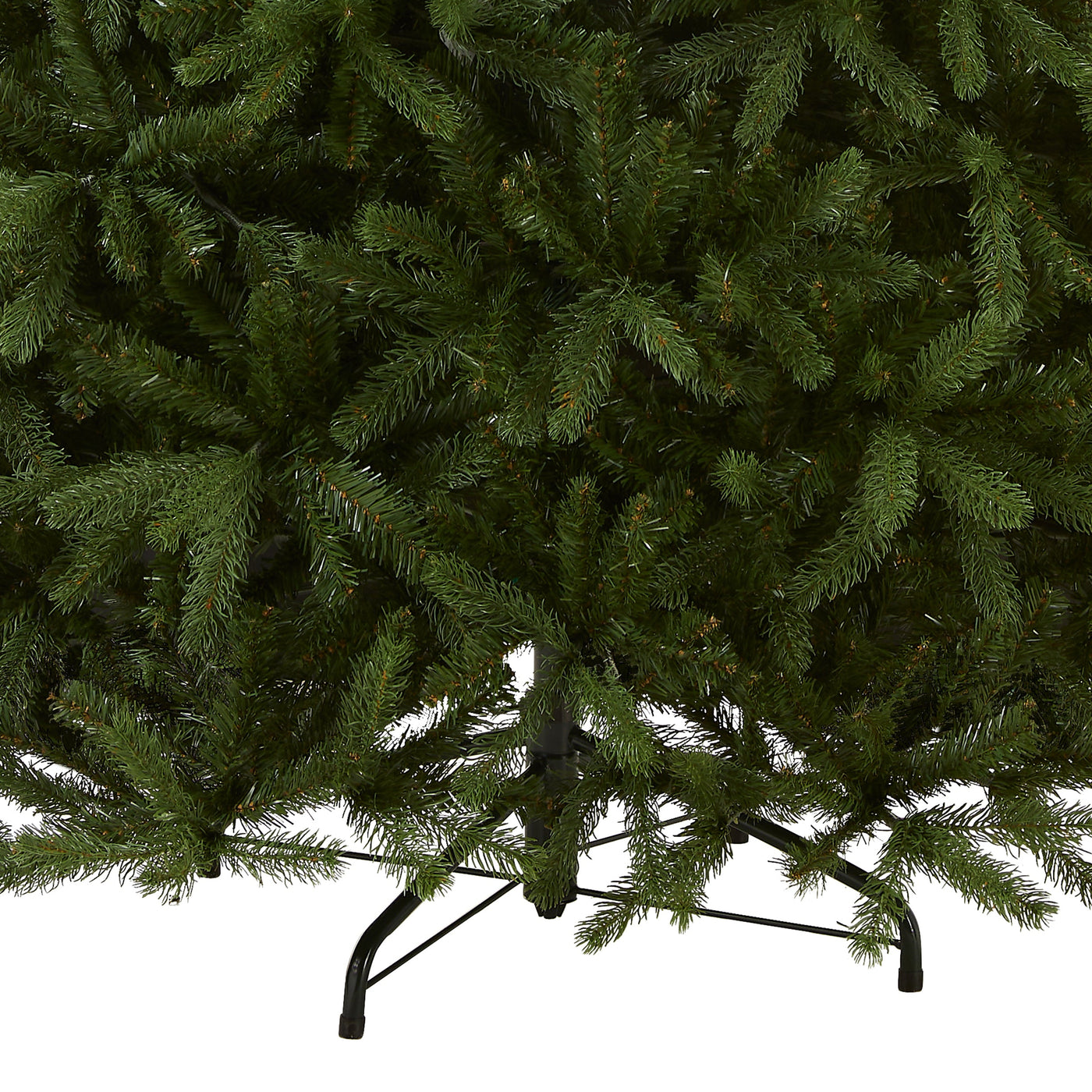 7.5 ft. Newberry Spruce Tree