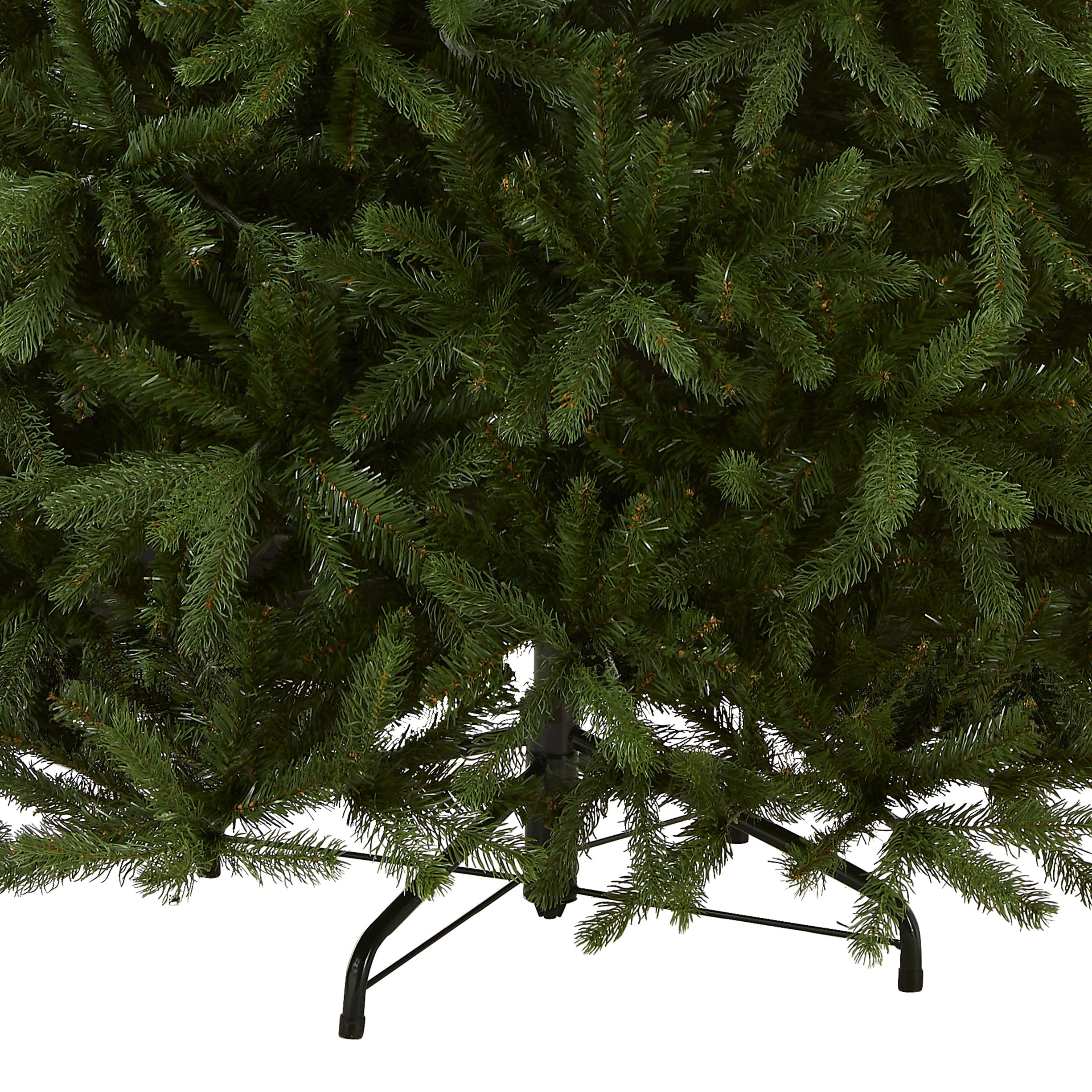 7.5 ft. Newberry Spruce Tree