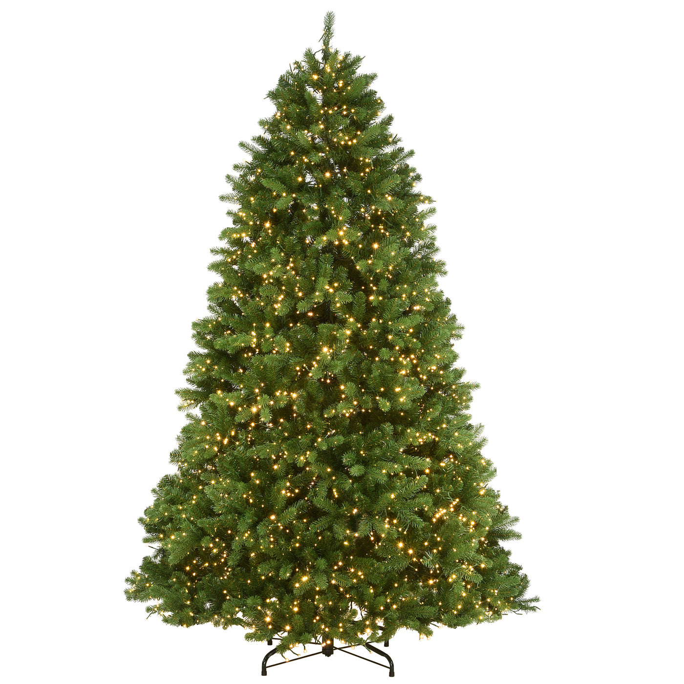 Newberry Spruce Trees