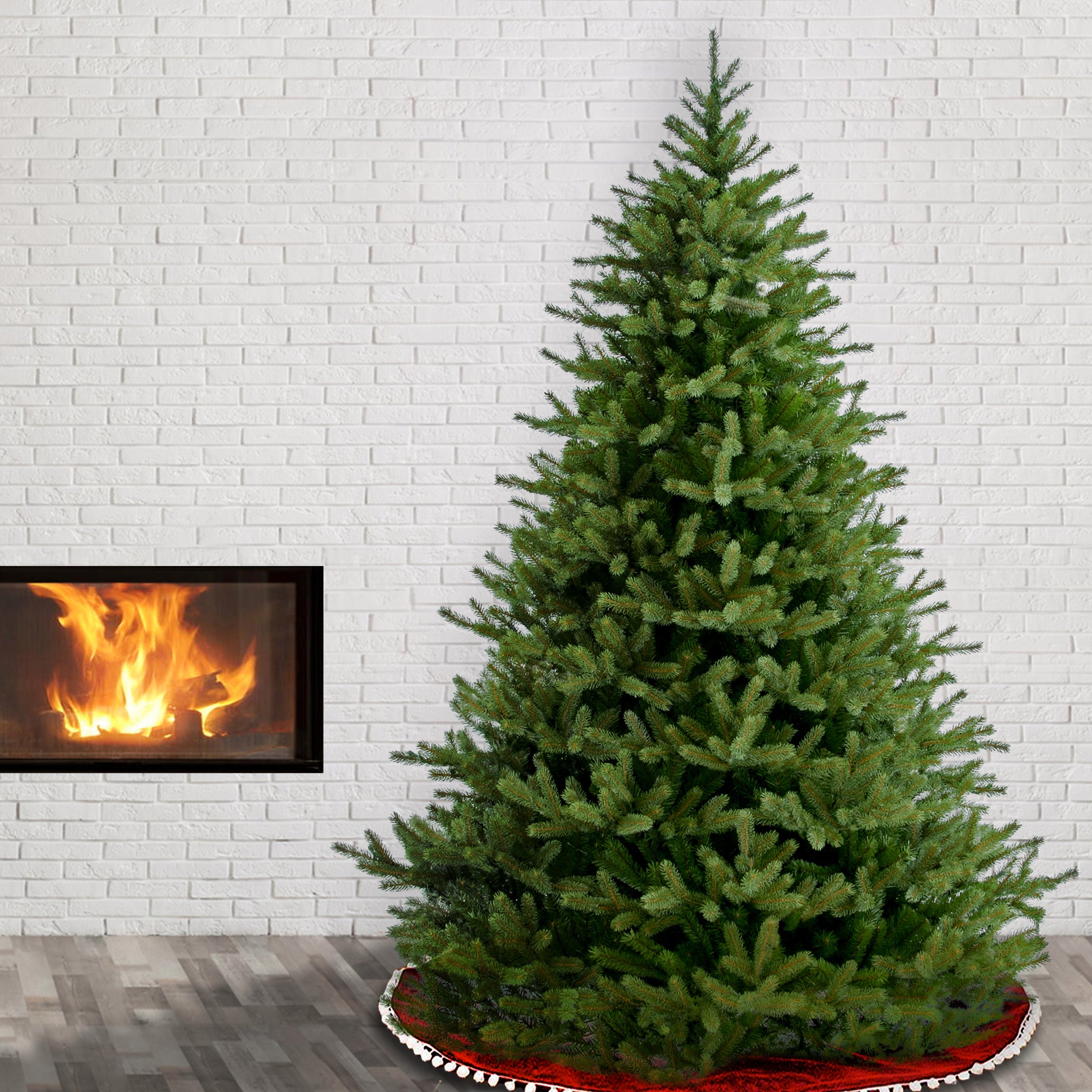 6.5 ft. Norway Fir Tree