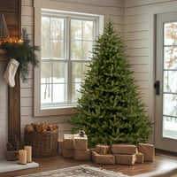 6.5 ft. Norway Fir Tree