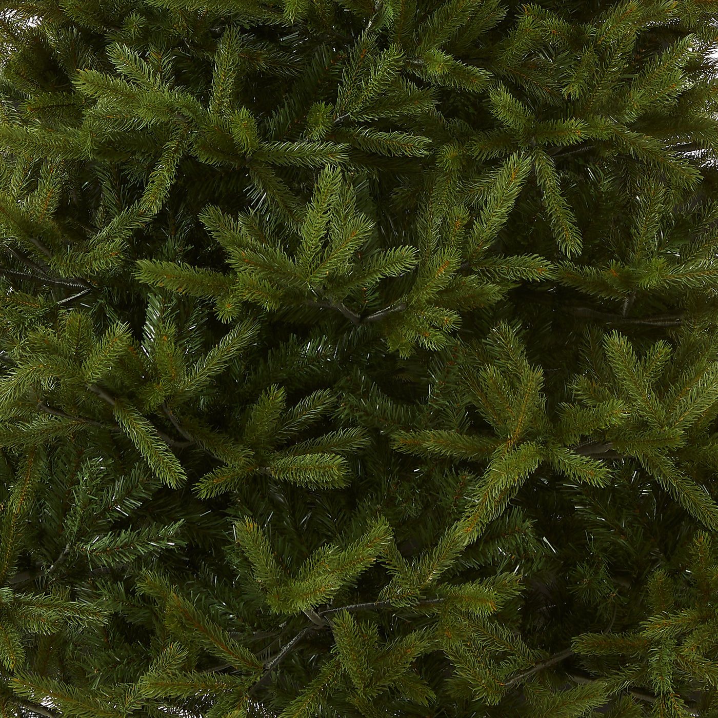 6.5 ft. Norway Fir Tree